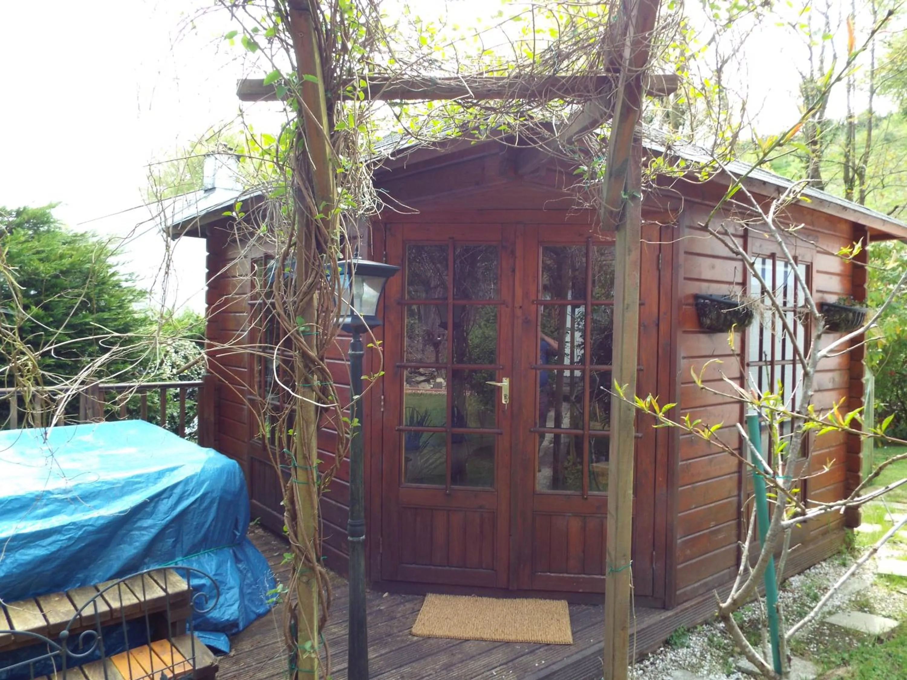 Garden in Woodpeckers