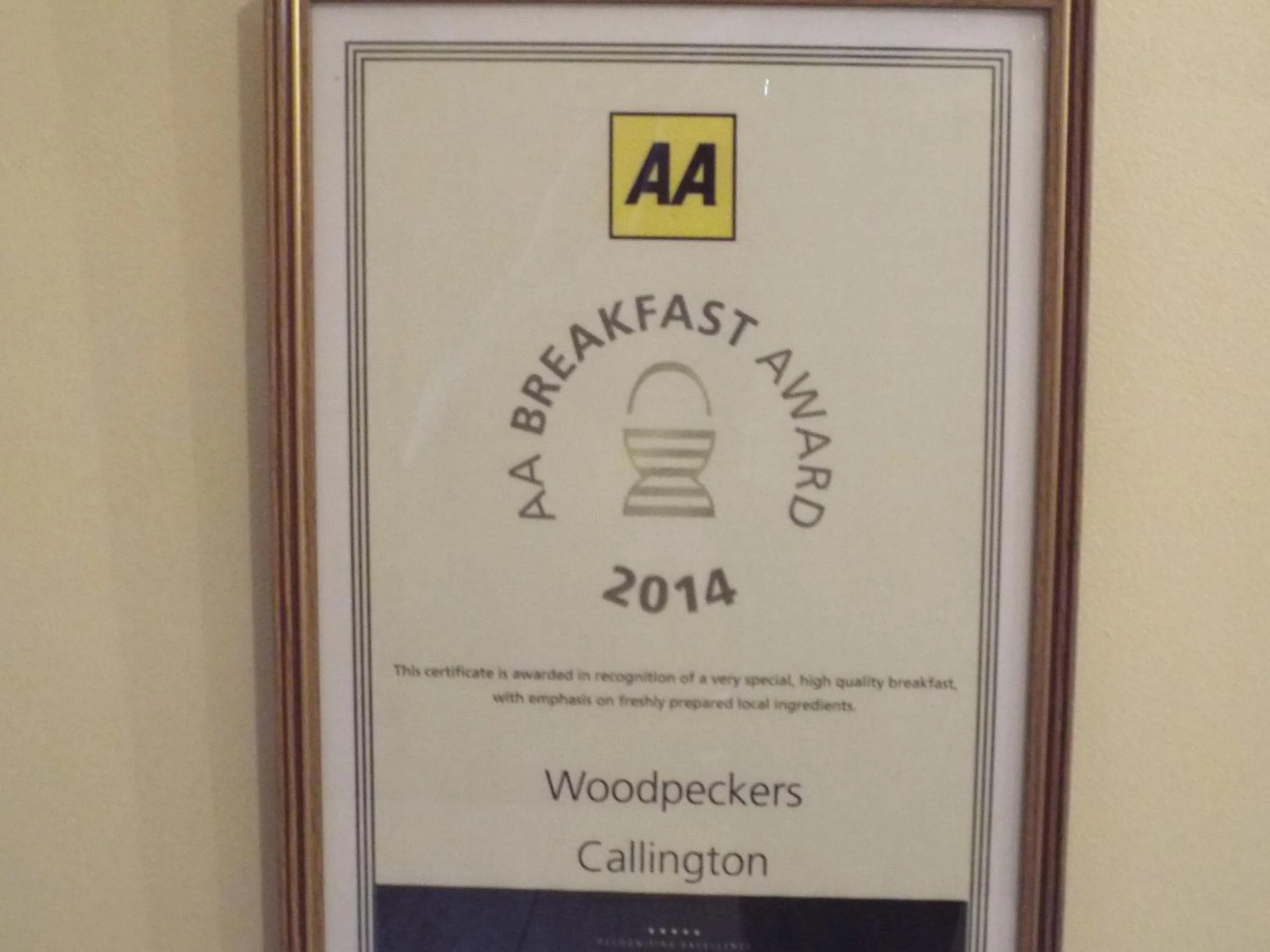 Other in Woodpeckers