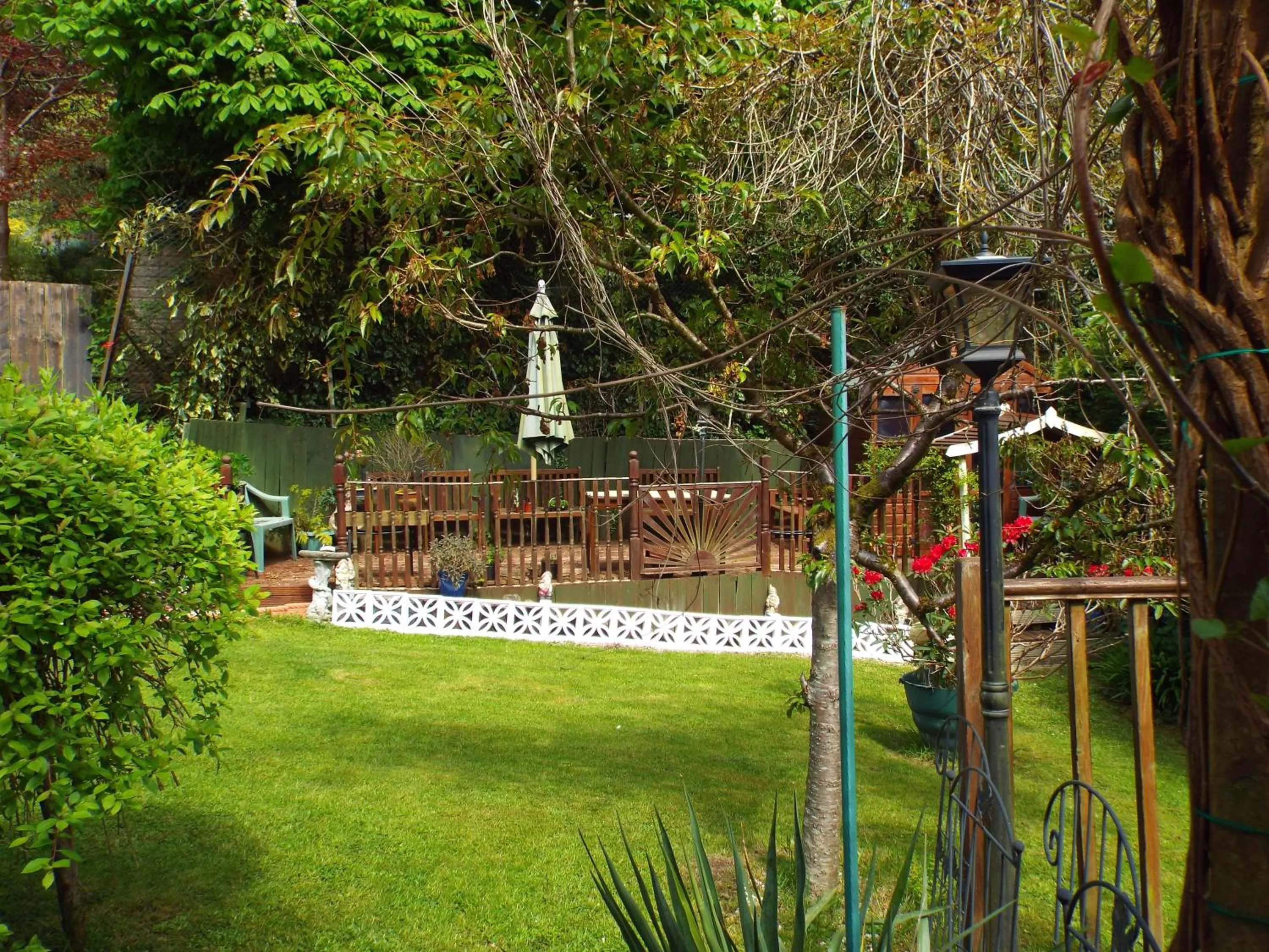 Garden in Woodpeckers