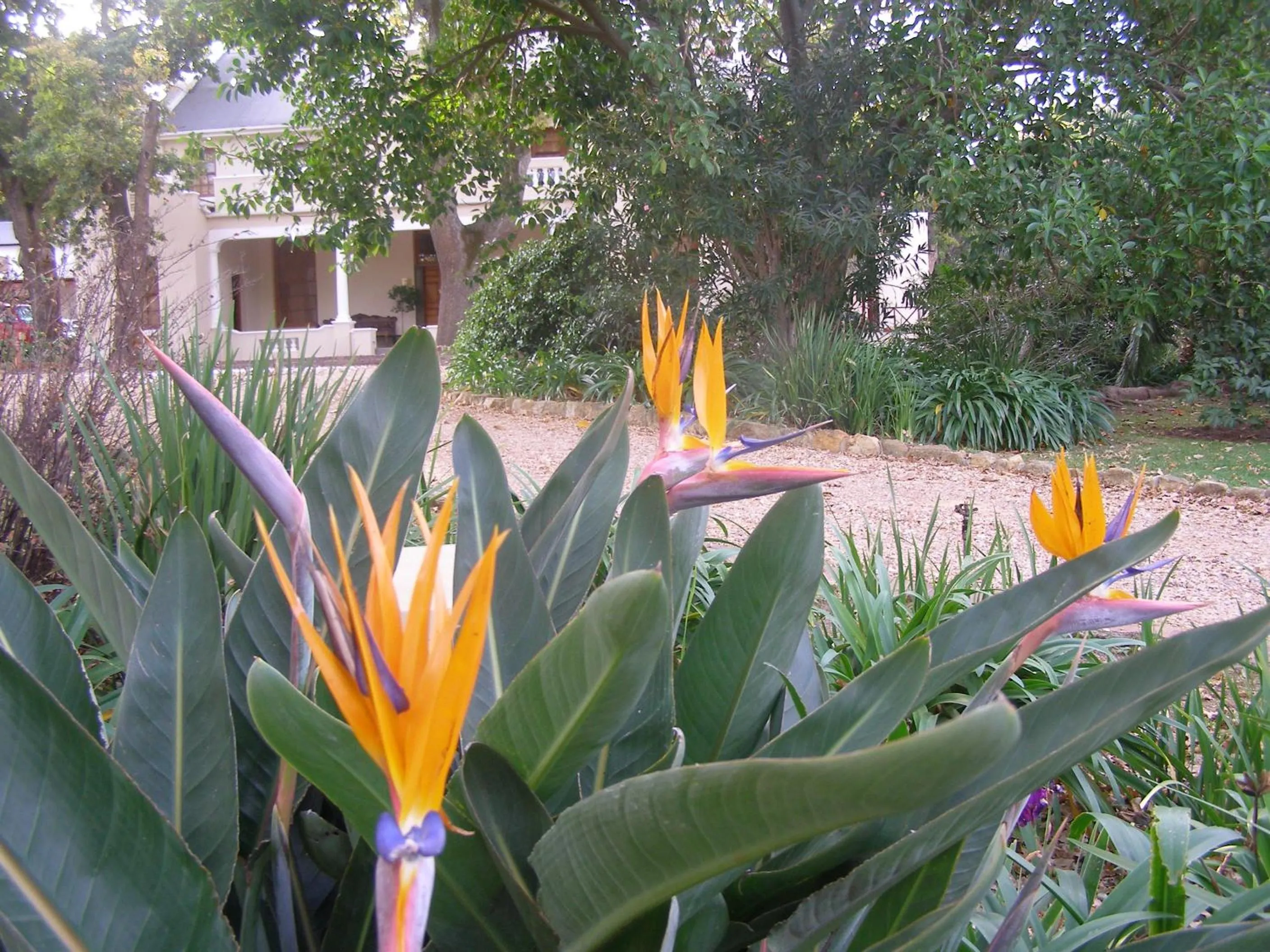 Garden view in Ongegund Lodge