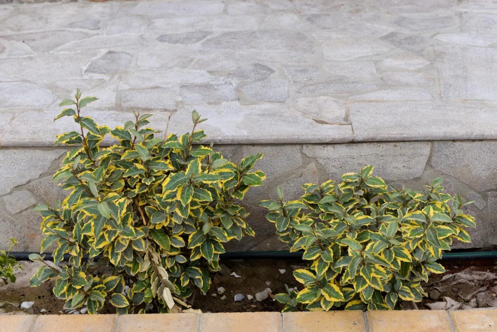 Day in Kraka Apartments