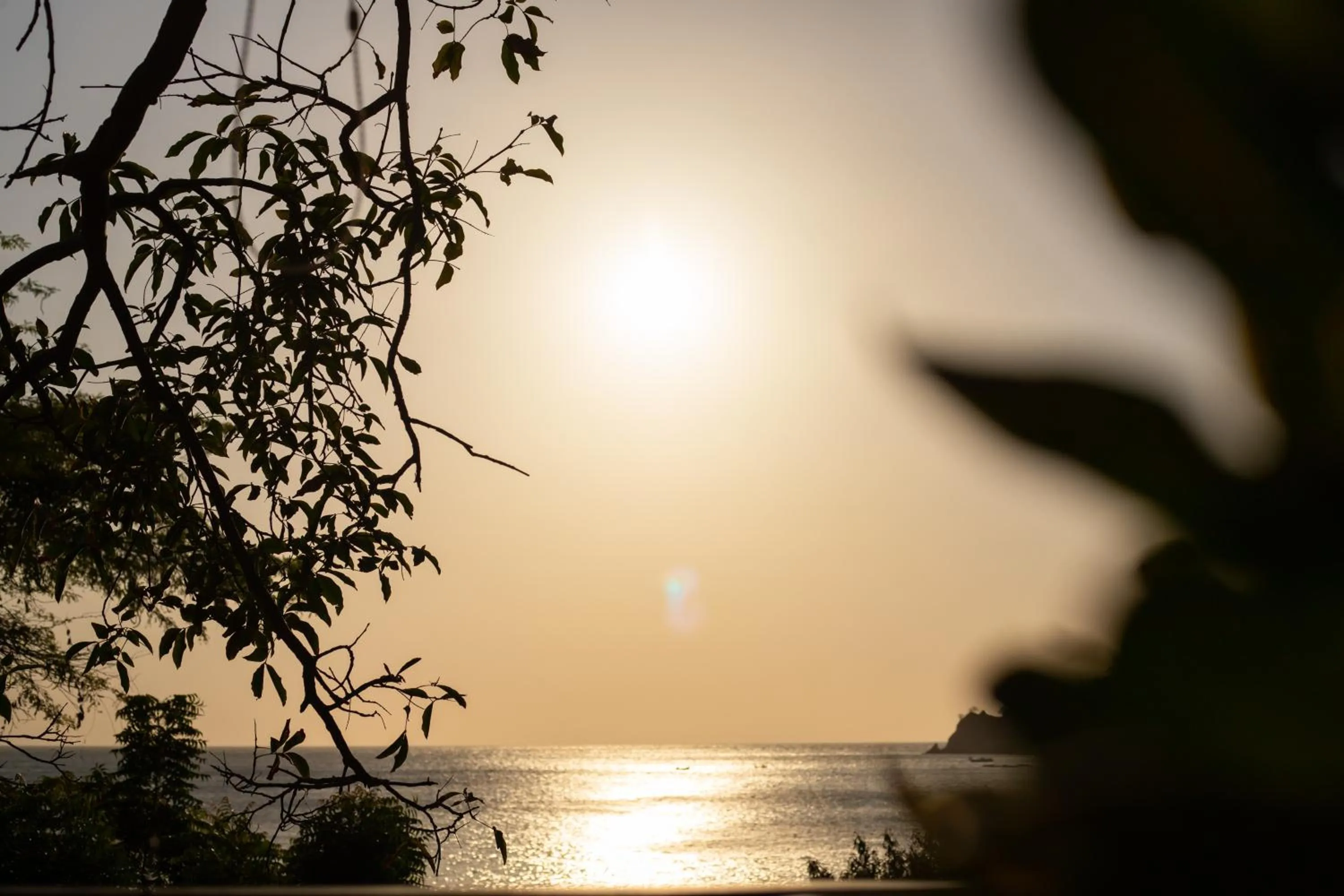Natural landscape in Casa Playa Puerto luz