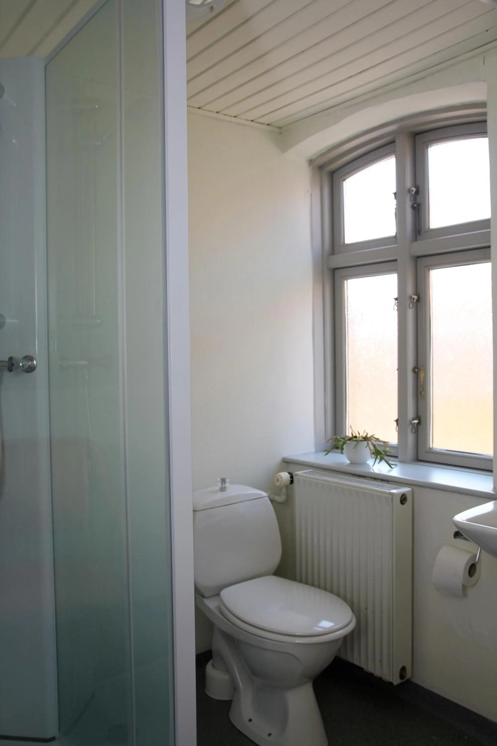 Shower in Hotel Ribe