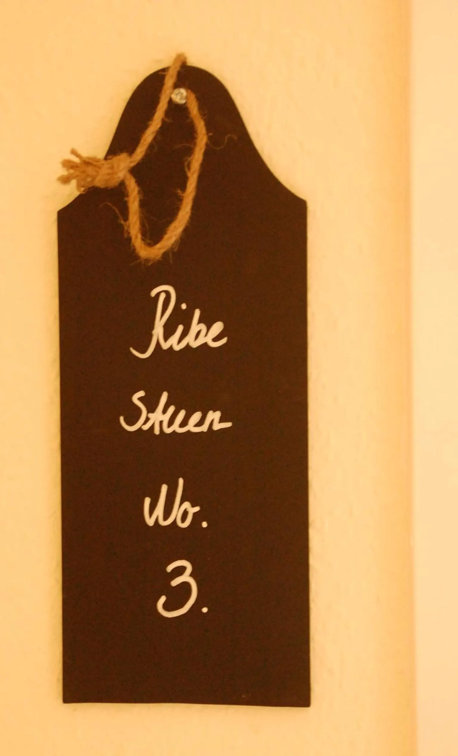 Photo of the whole room in Hotel Ribe