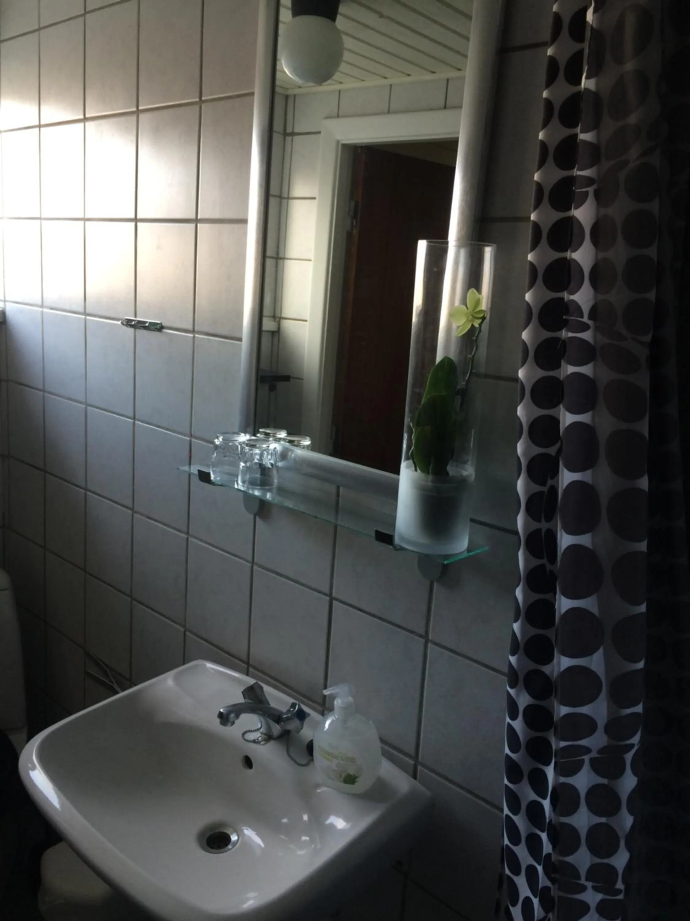Shower in Hotel Ribe
