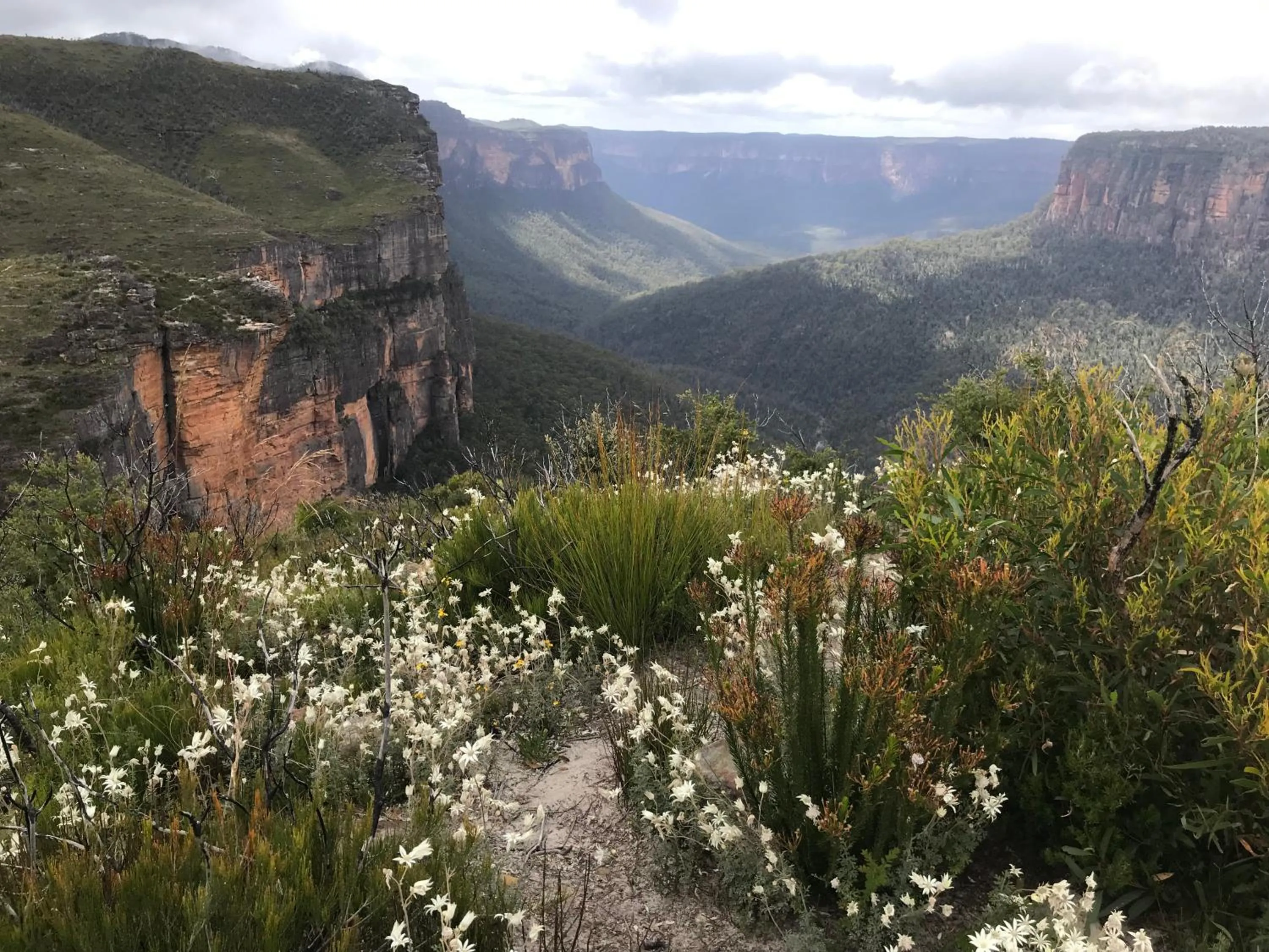 Nearby landmark in The Red Letterbox