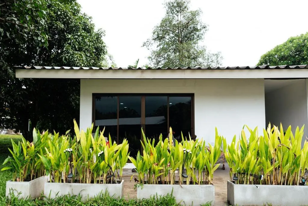 Apollo Hotel Chalong