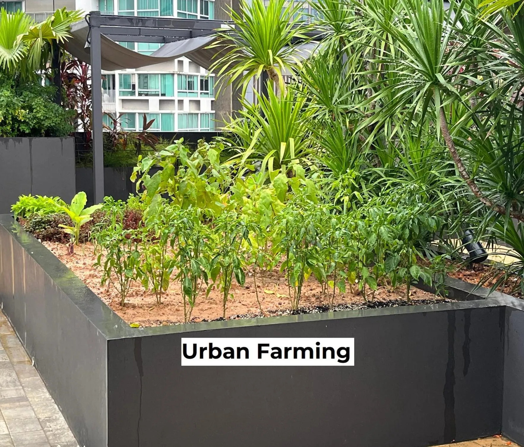 Garden in VicHaus Serviced Apartment