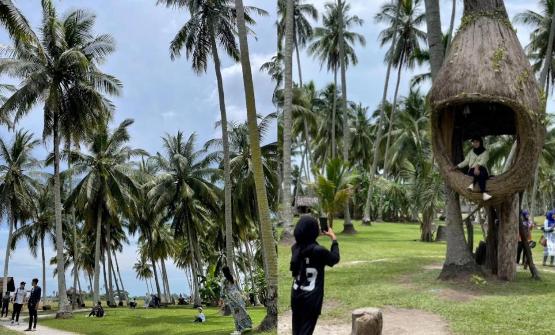 Natural landscape in Crowne Plaza Penang Straits City by IHG