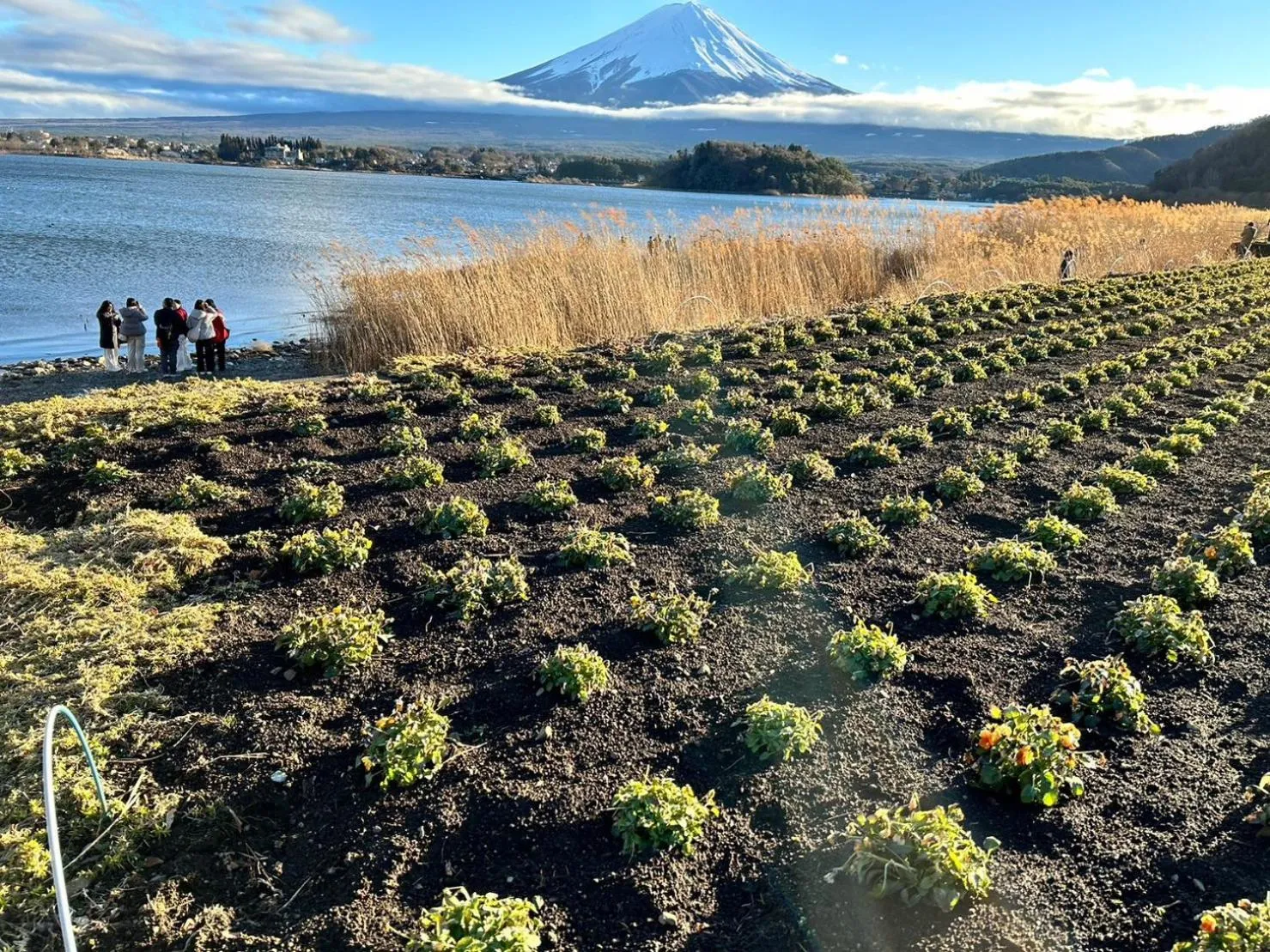 Nearby landmark in glampark S.O.P Fuji Kawaguchi Lake