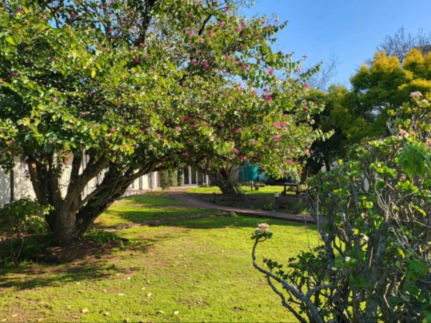 Garden in The Cock House