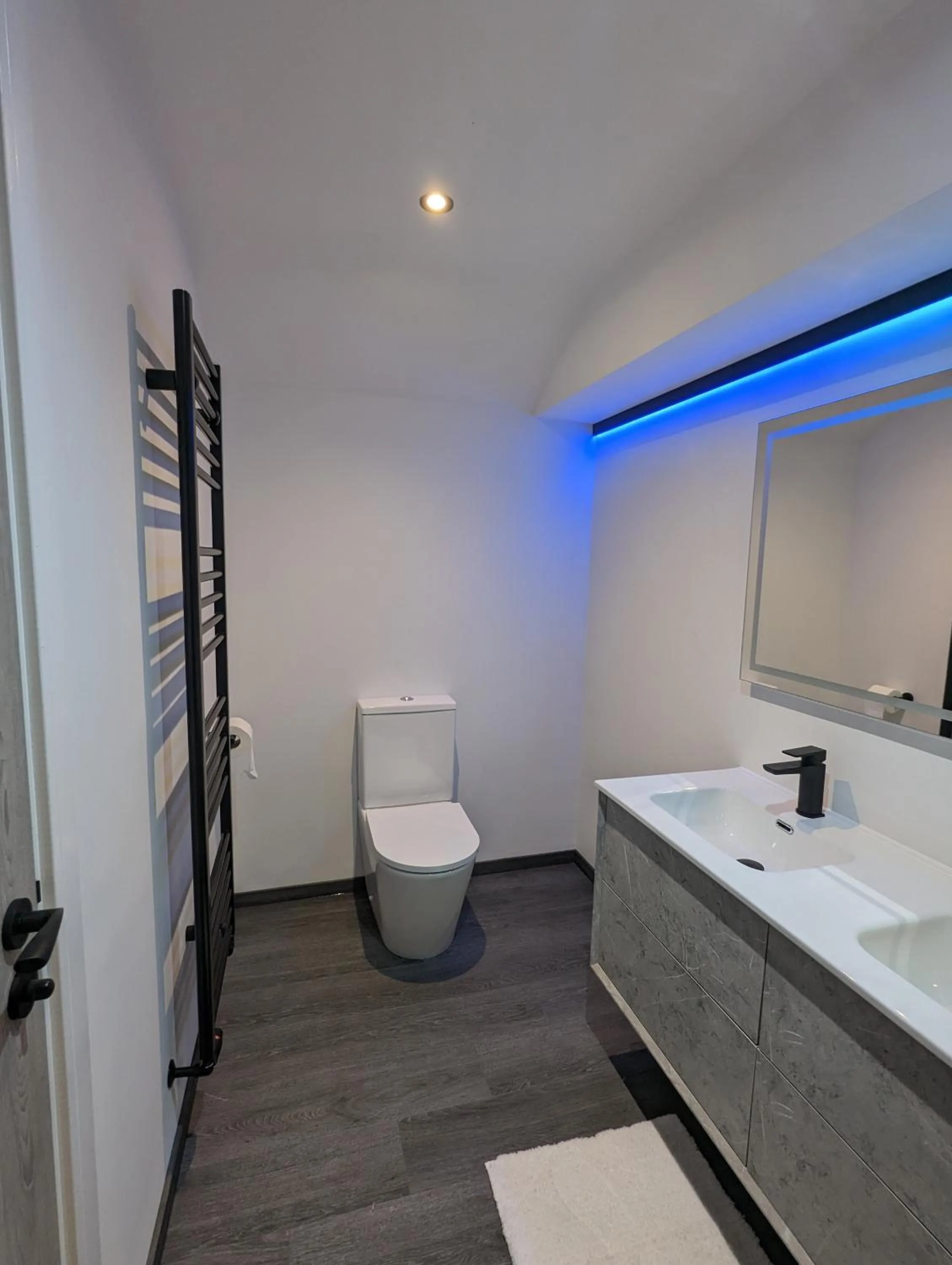 Toilet in The Wolfe Inn Wolfscastle