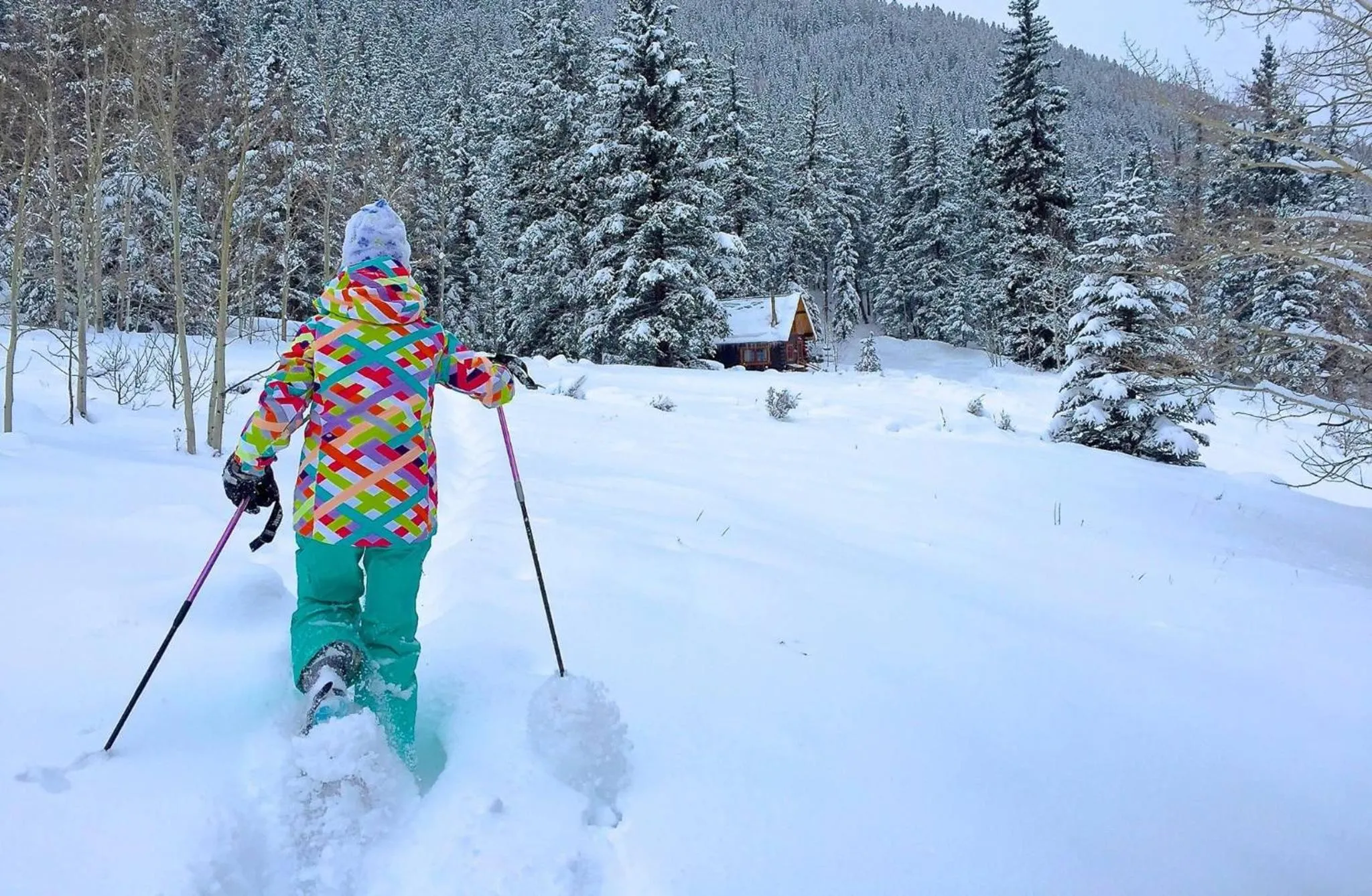 Pioneer Guest Cabins