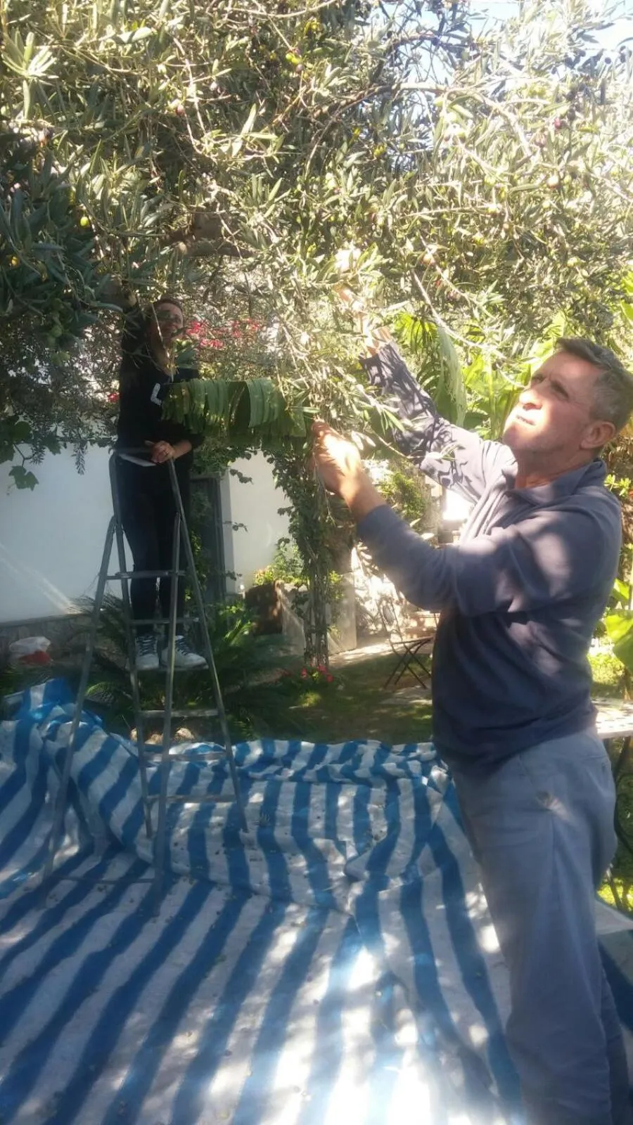 Other in World Center