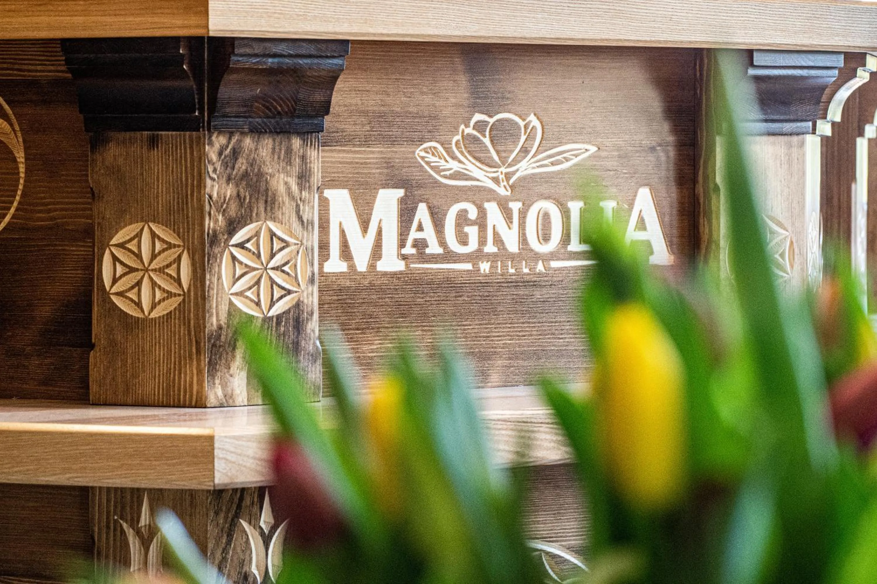Magnolia
