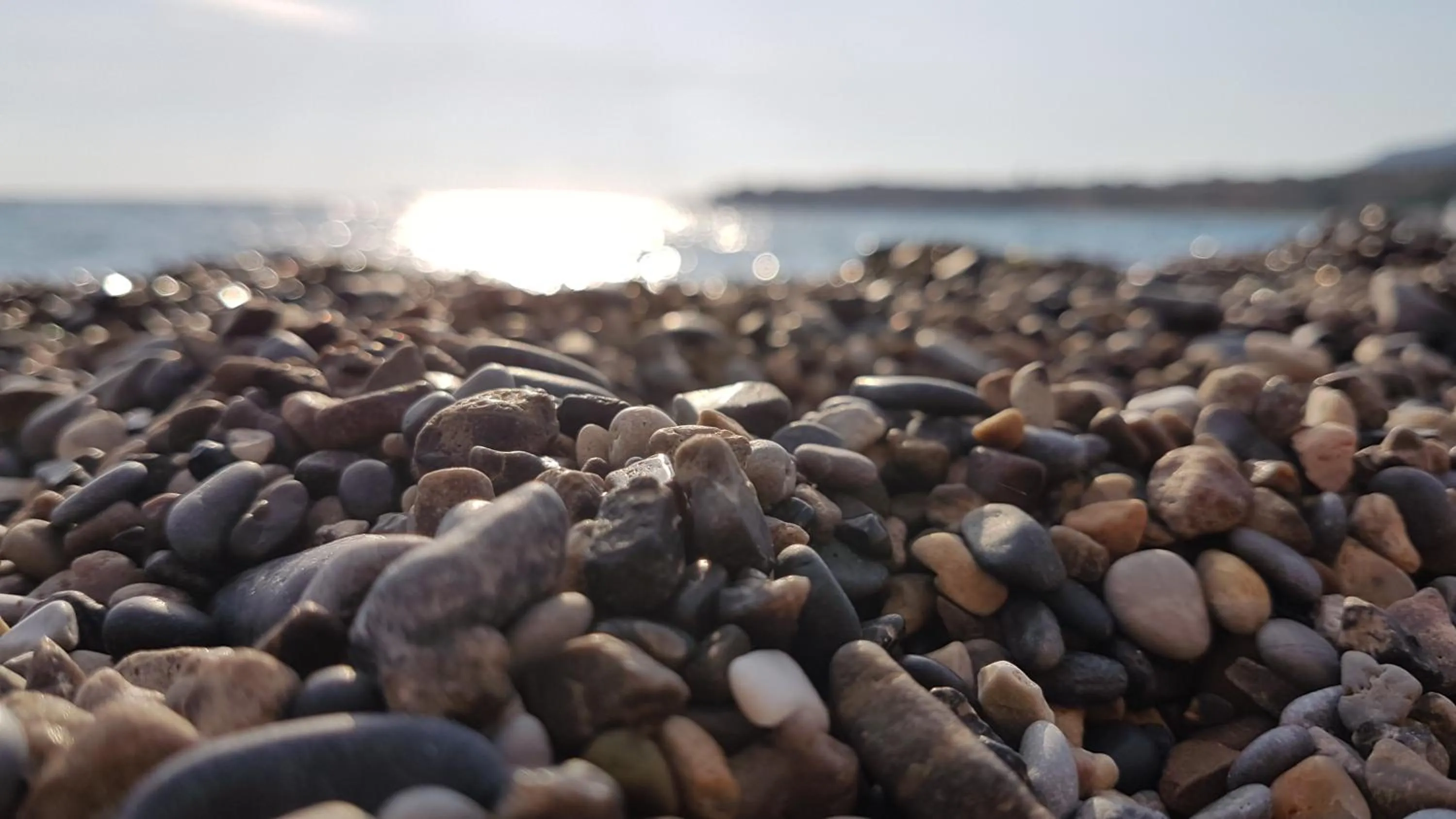 Residence San Antonio