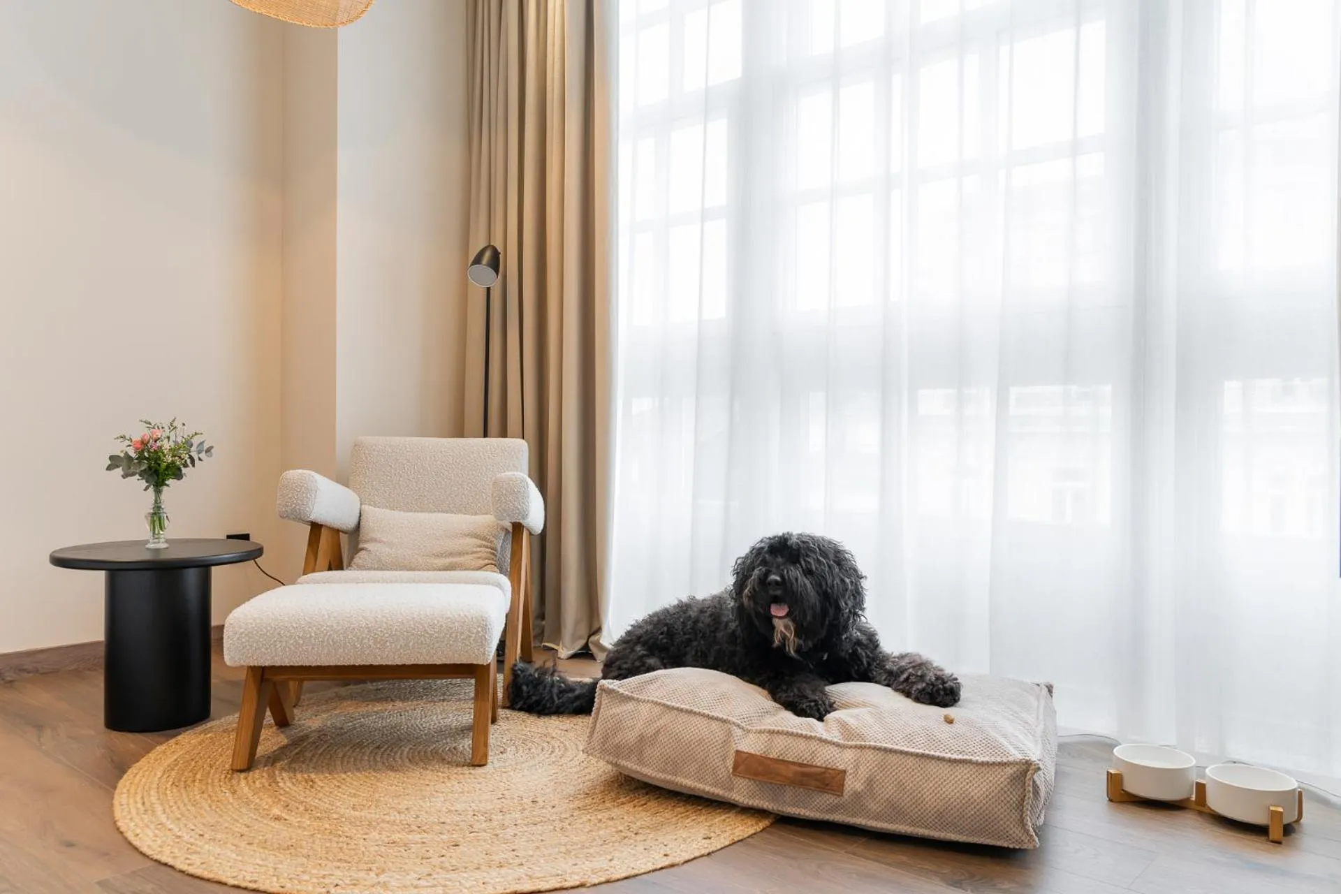 Pets, Bed in Sercotel EsteOeste