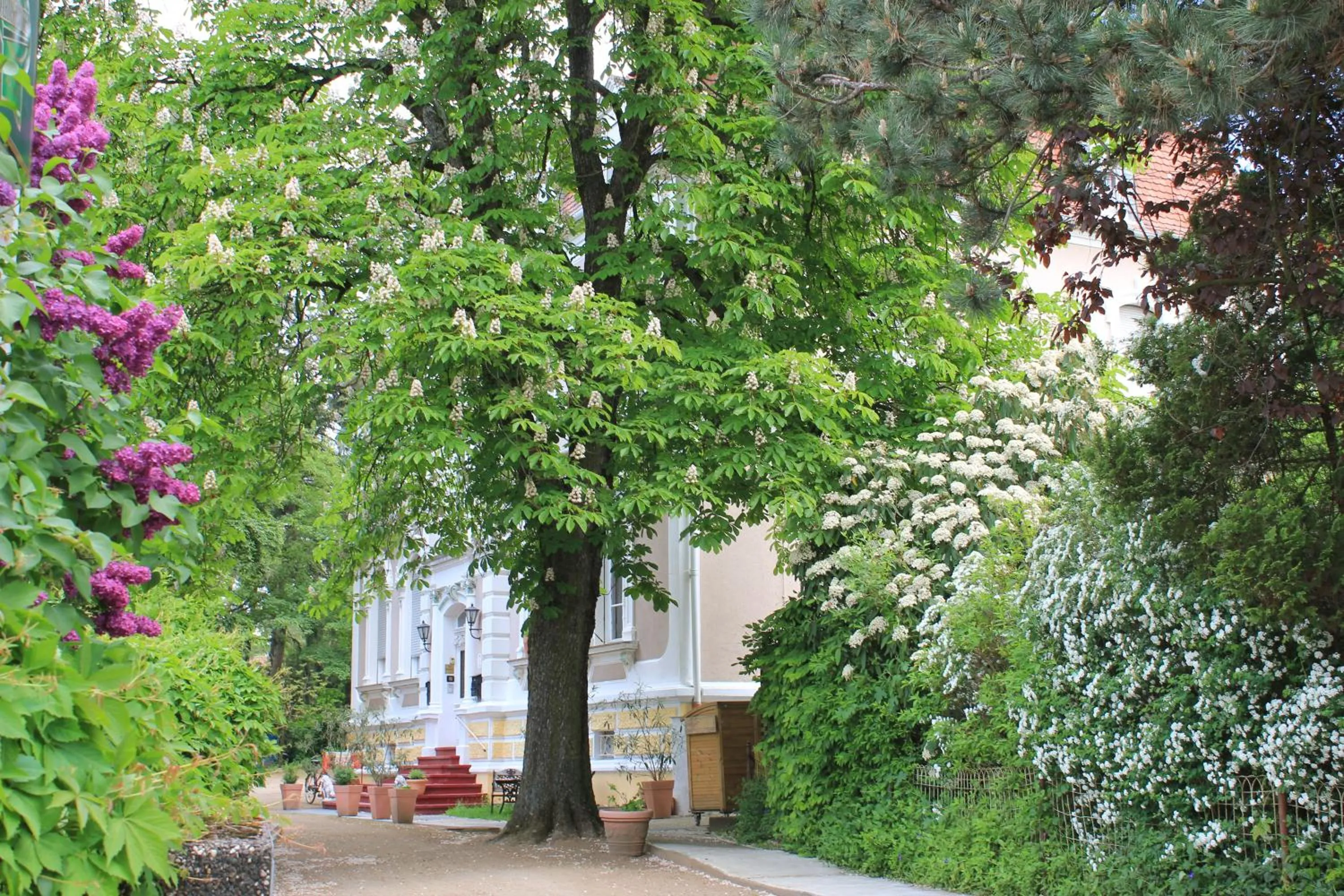 Facade/entrance in Hotel Waldfriede