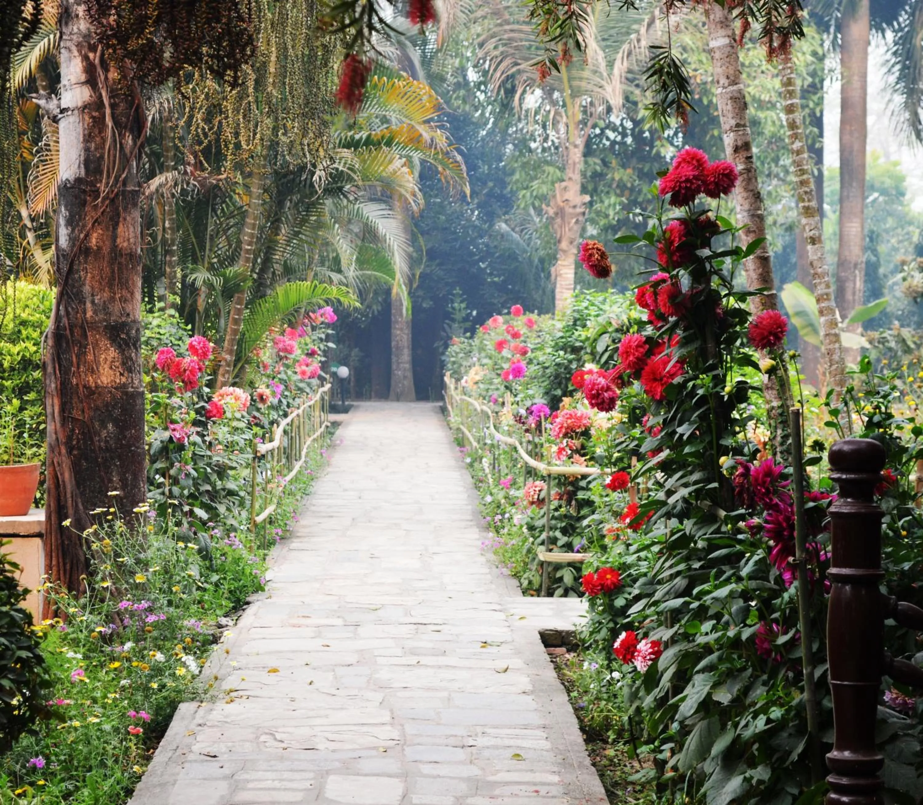 Garden in Chitwan Paradise Hotel
