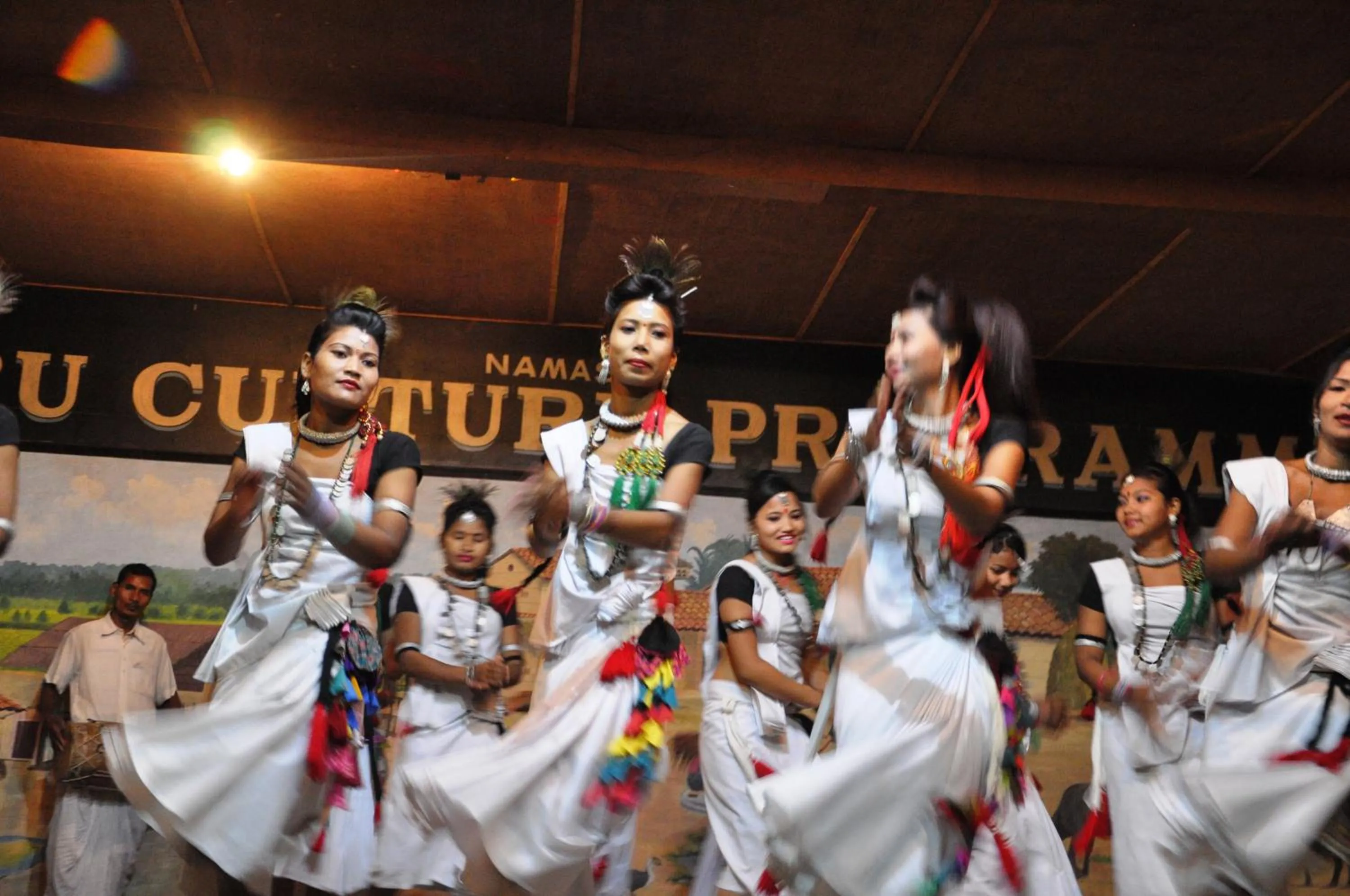 Entertainment in Chitwan Paradise Hotel