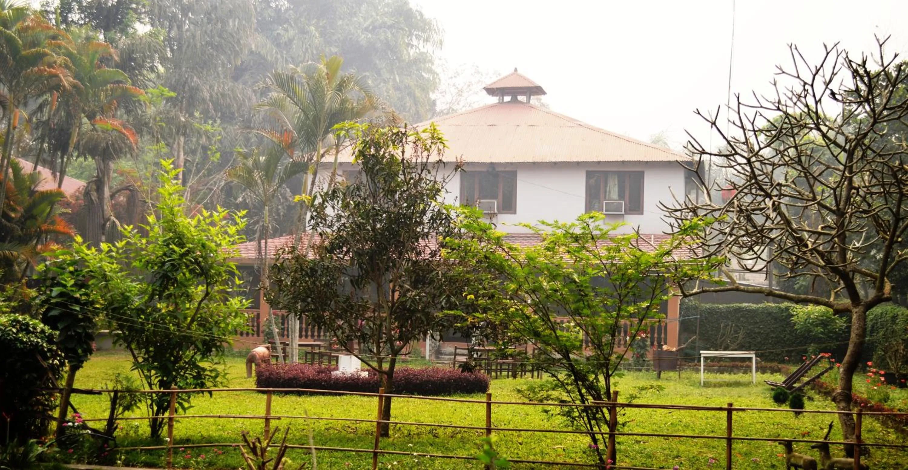 Garden in Chitwan Paradise Hotel