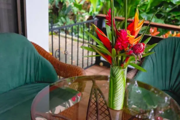 Patio in Chitwan Paradise Hotel