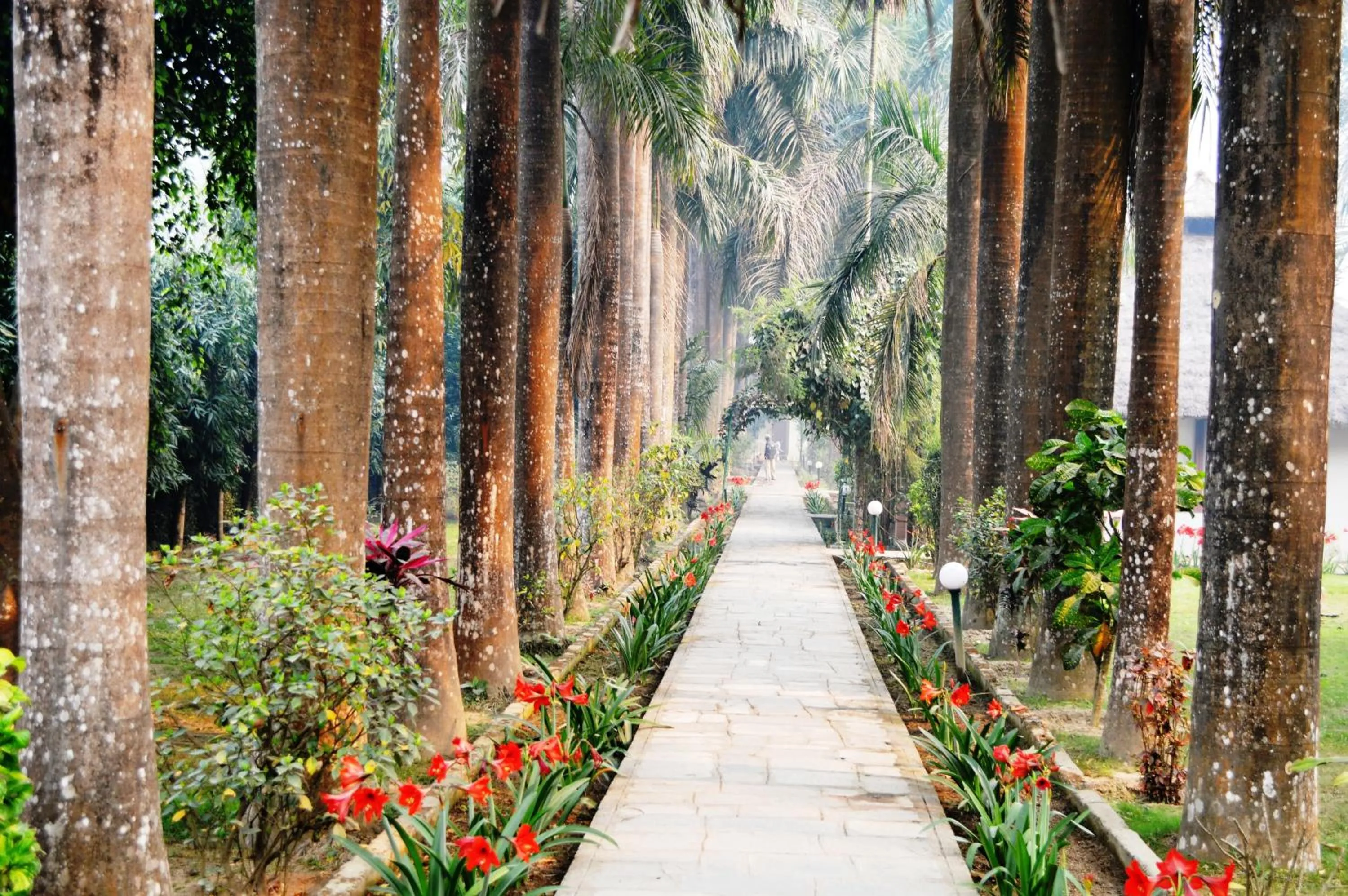 Garden in Chitwan Paradise Hotel