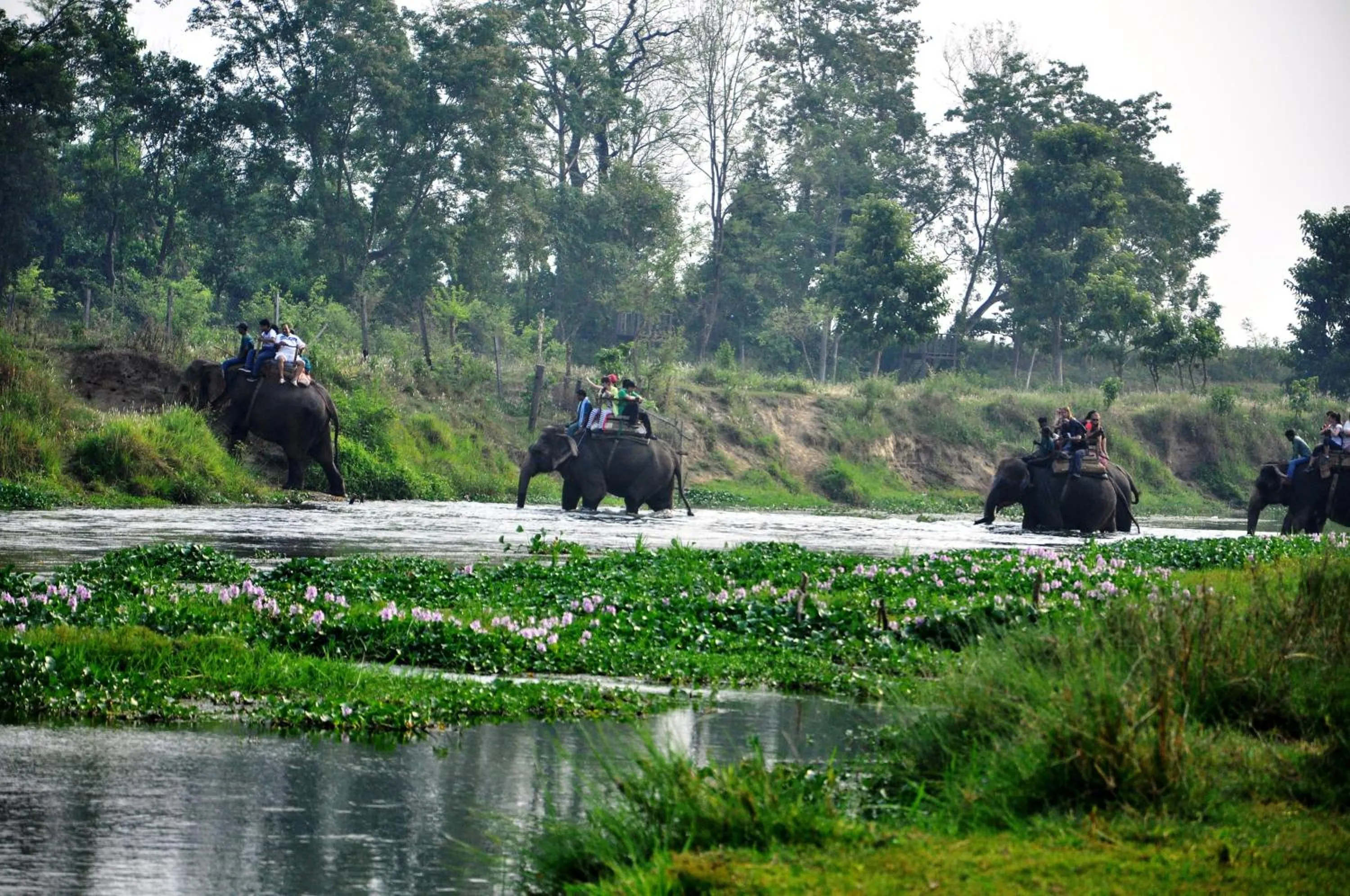 Horse-riding in Chitwan Paradise Hotel