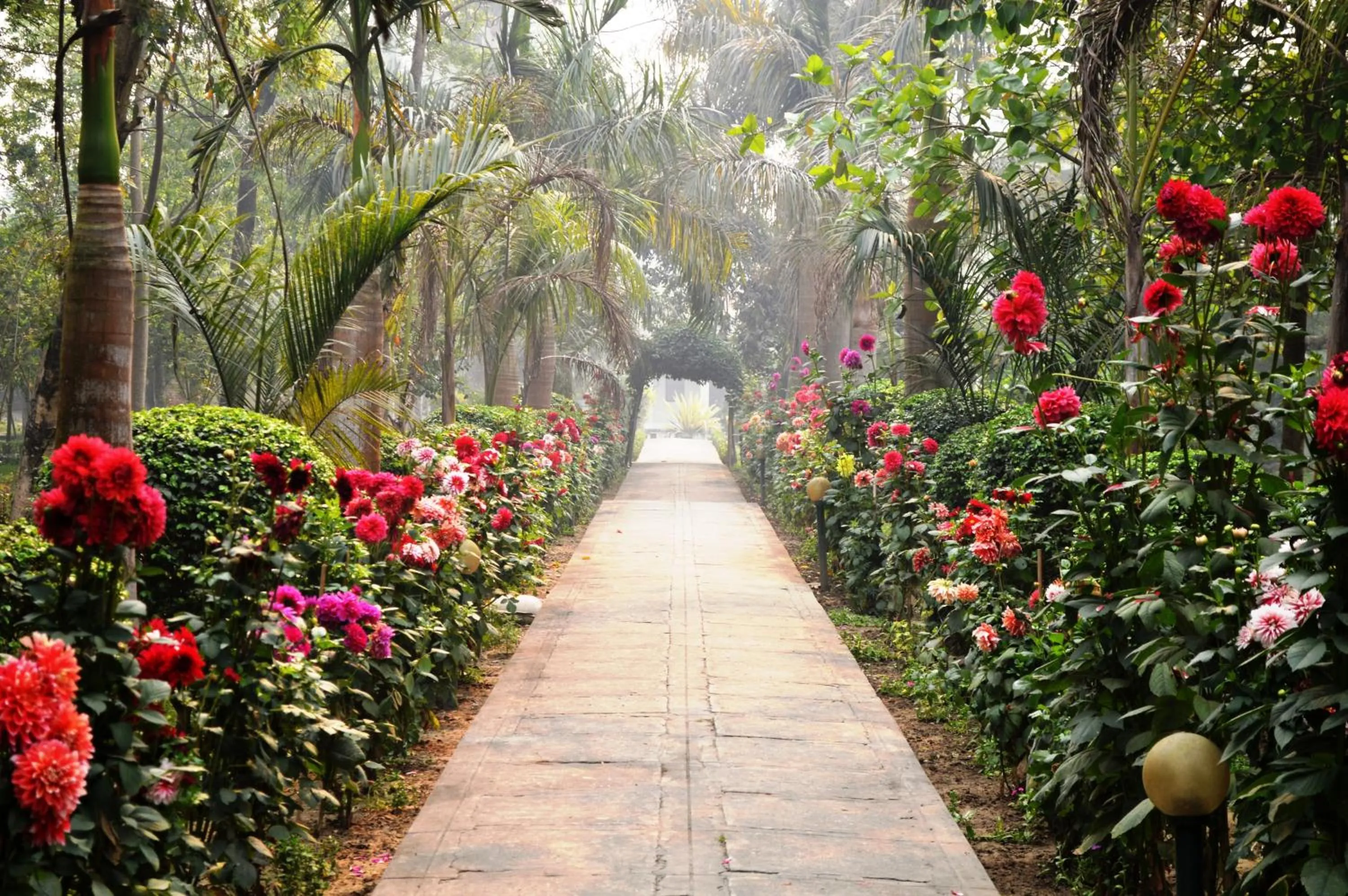 View (from property/room) in Chitwan Paradise Hotel