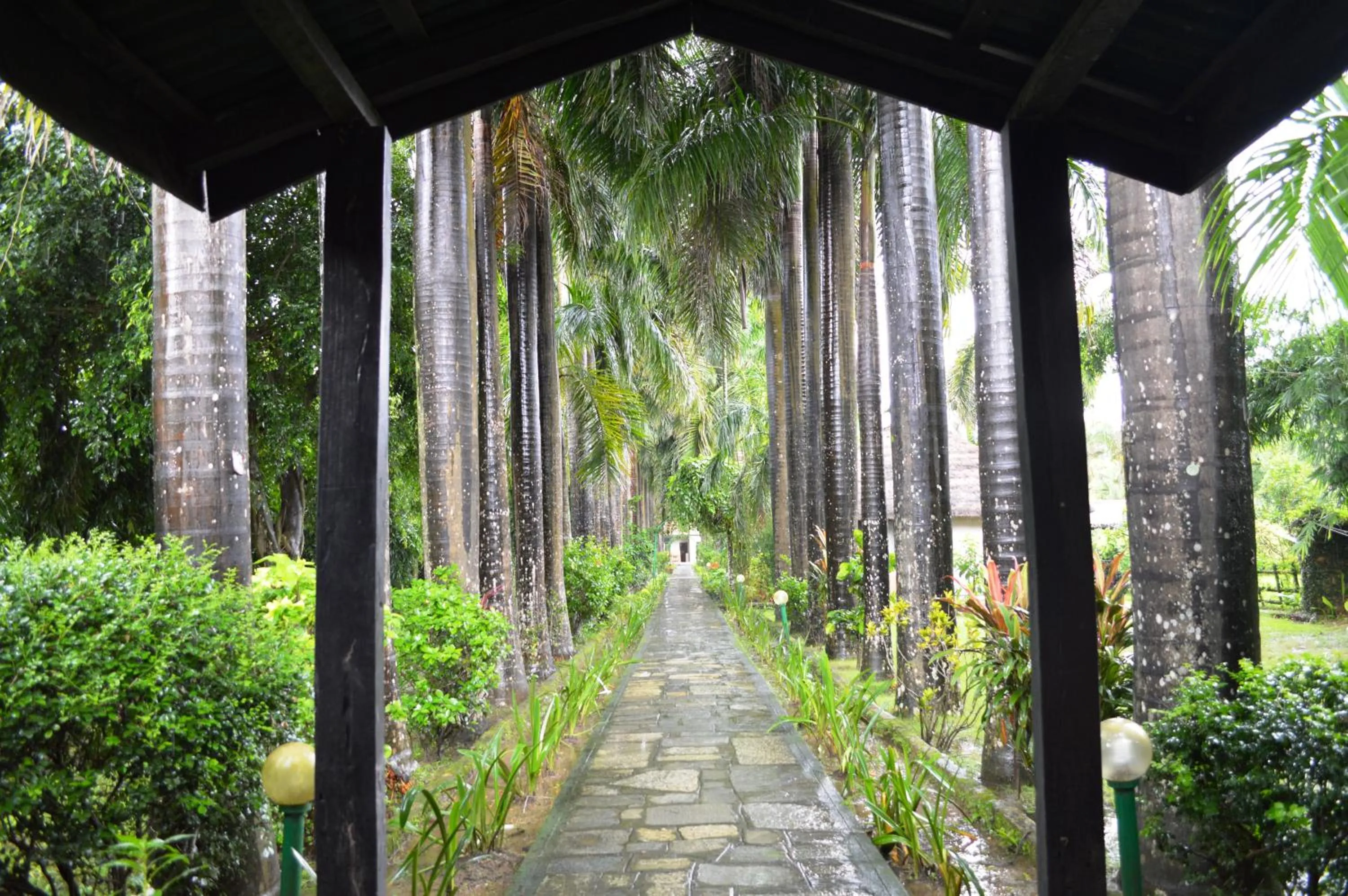 Facade/entrance in Chitwan Paradise Hotel