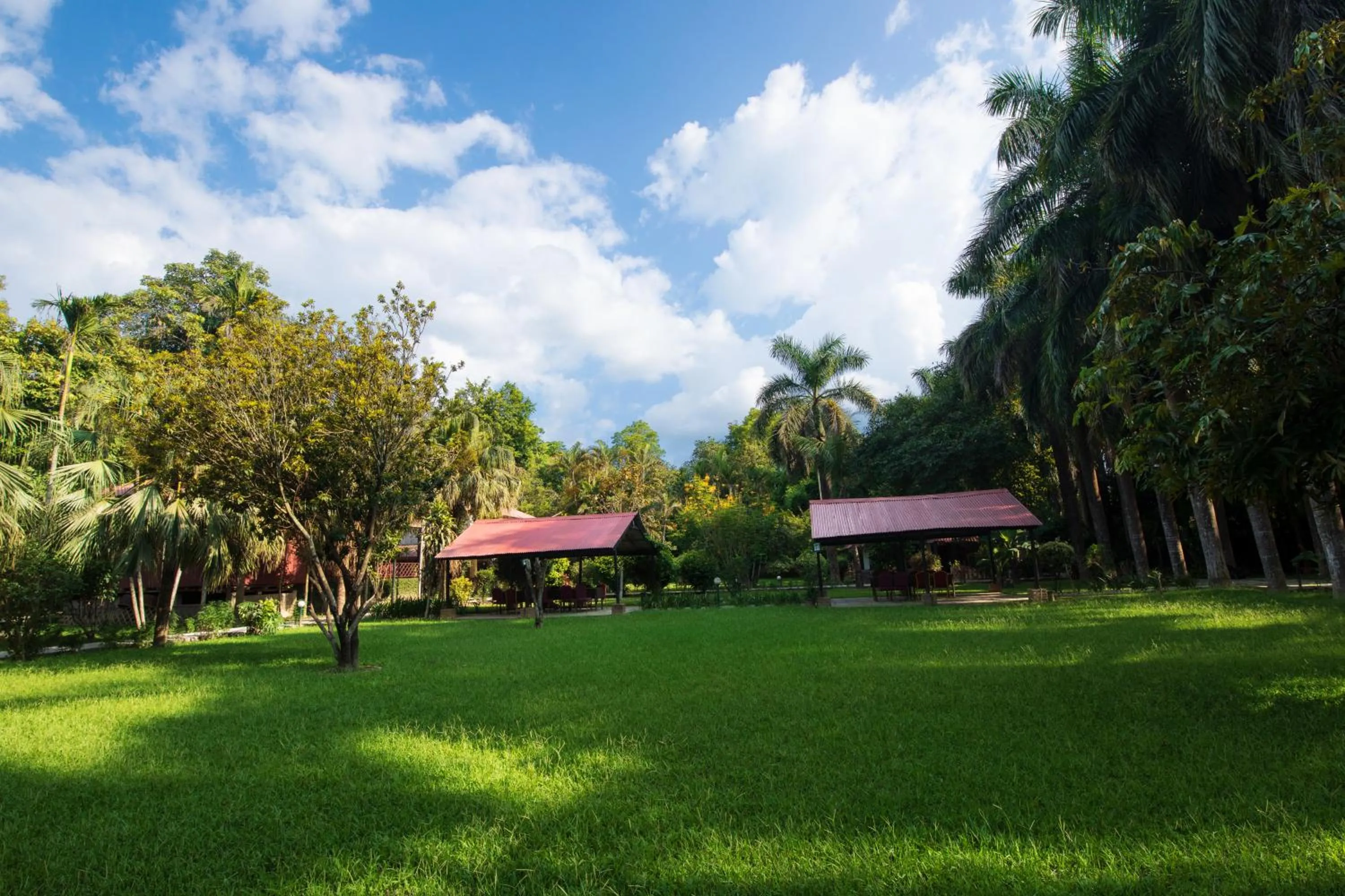 Garden in Chitwan Paradise Hotel