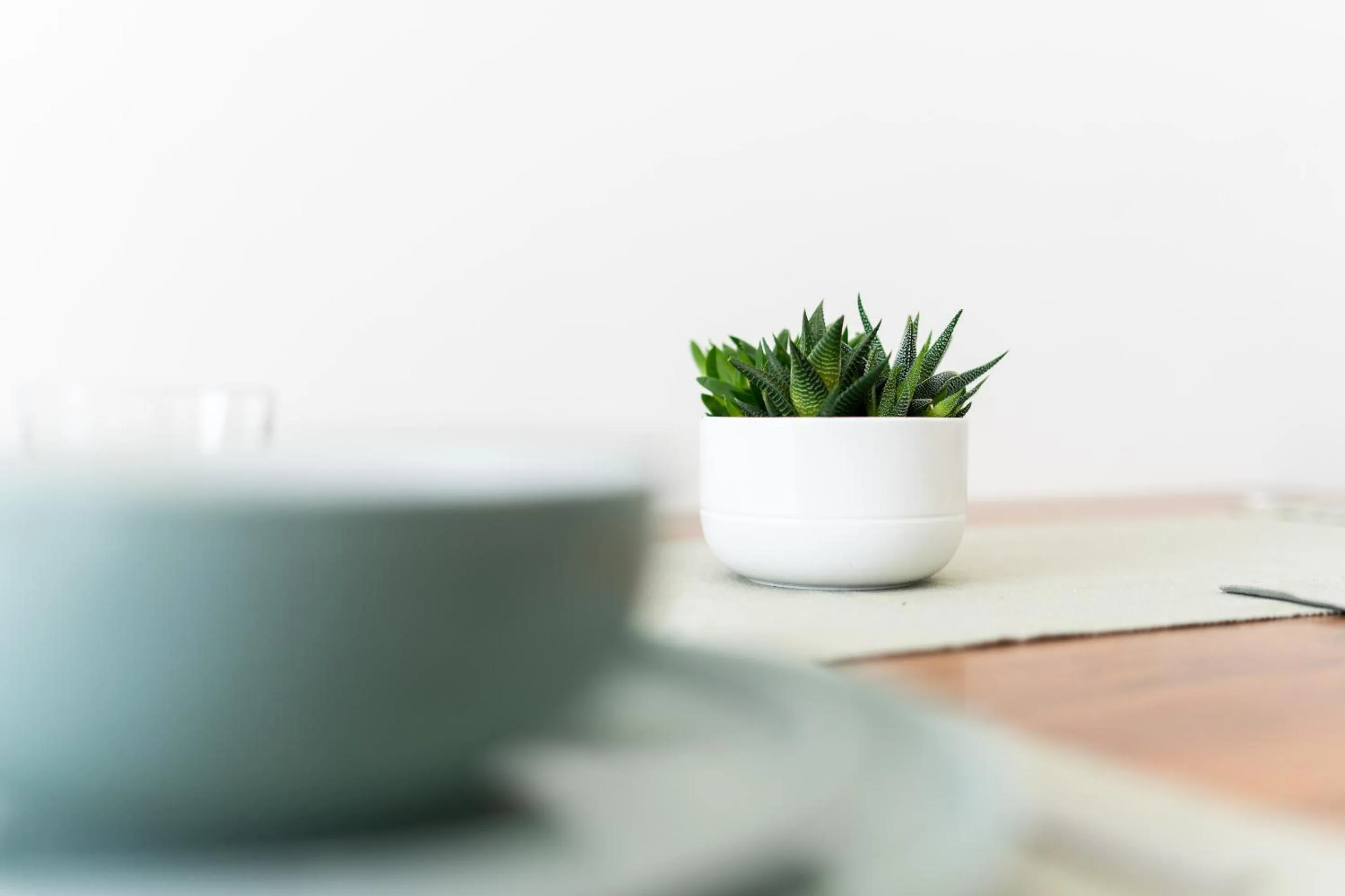 Kitchen or kitchenette in Innovation House