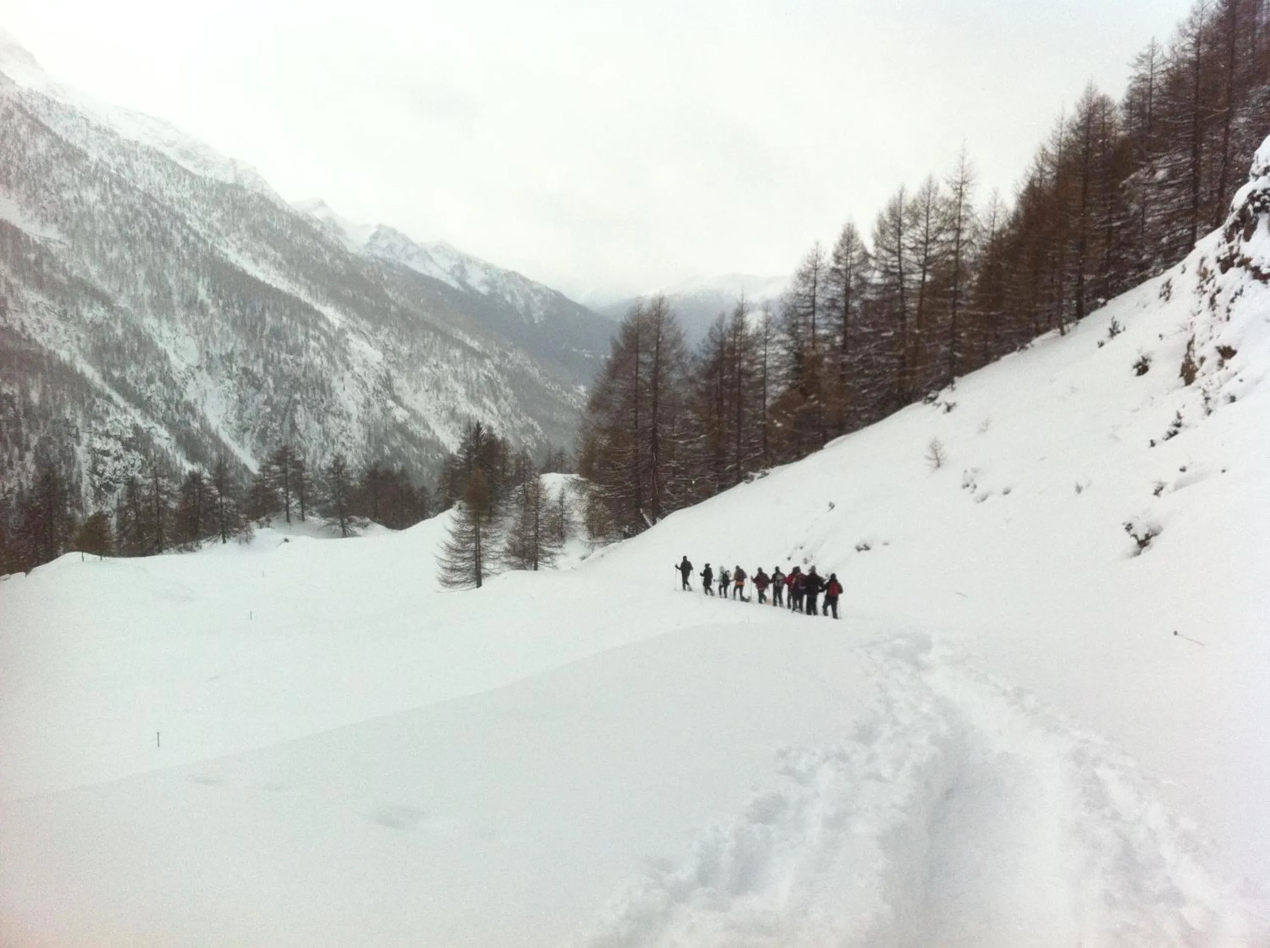 Hiking in Alpe Rebelle