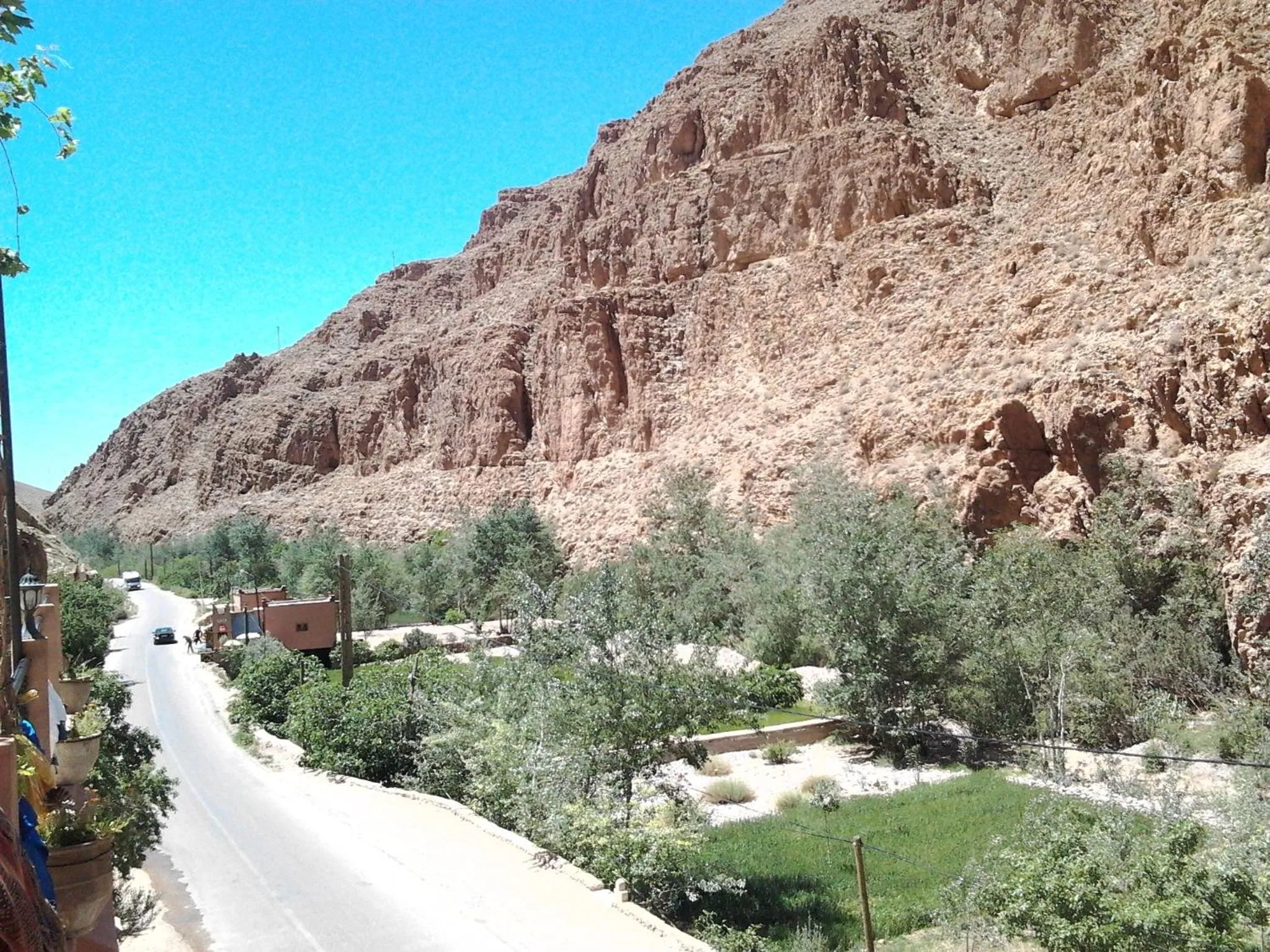 Garden view in Hôtel Restaurant La Gazelle De Dades