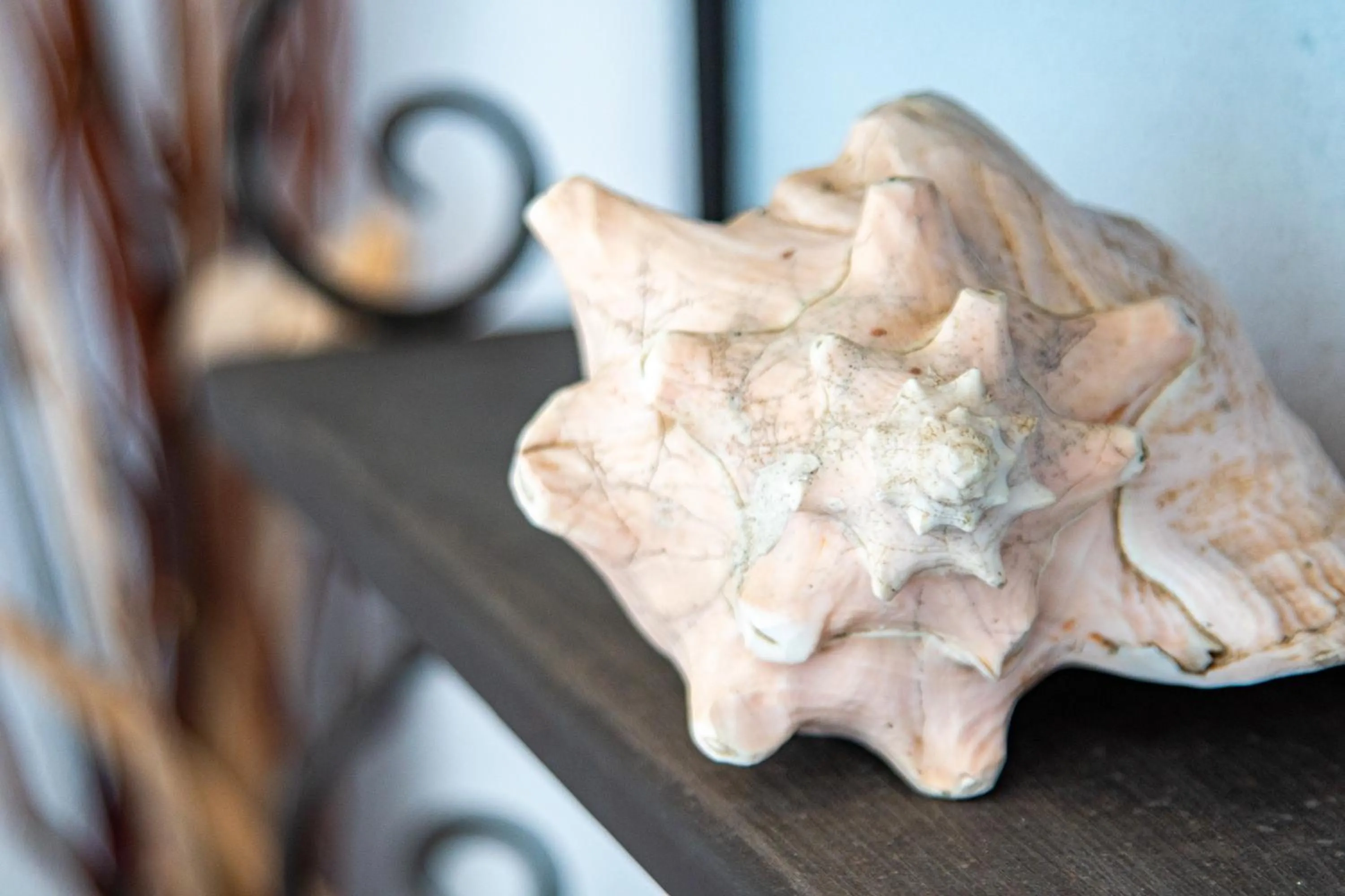 Decorative detail in Athena's Veranda magestic views Home 97 in Glyfada of Corfu by New Era