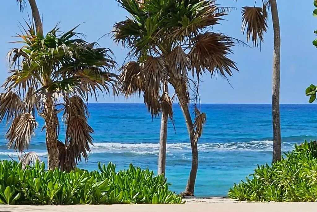 A Sanctuary by the Sea
