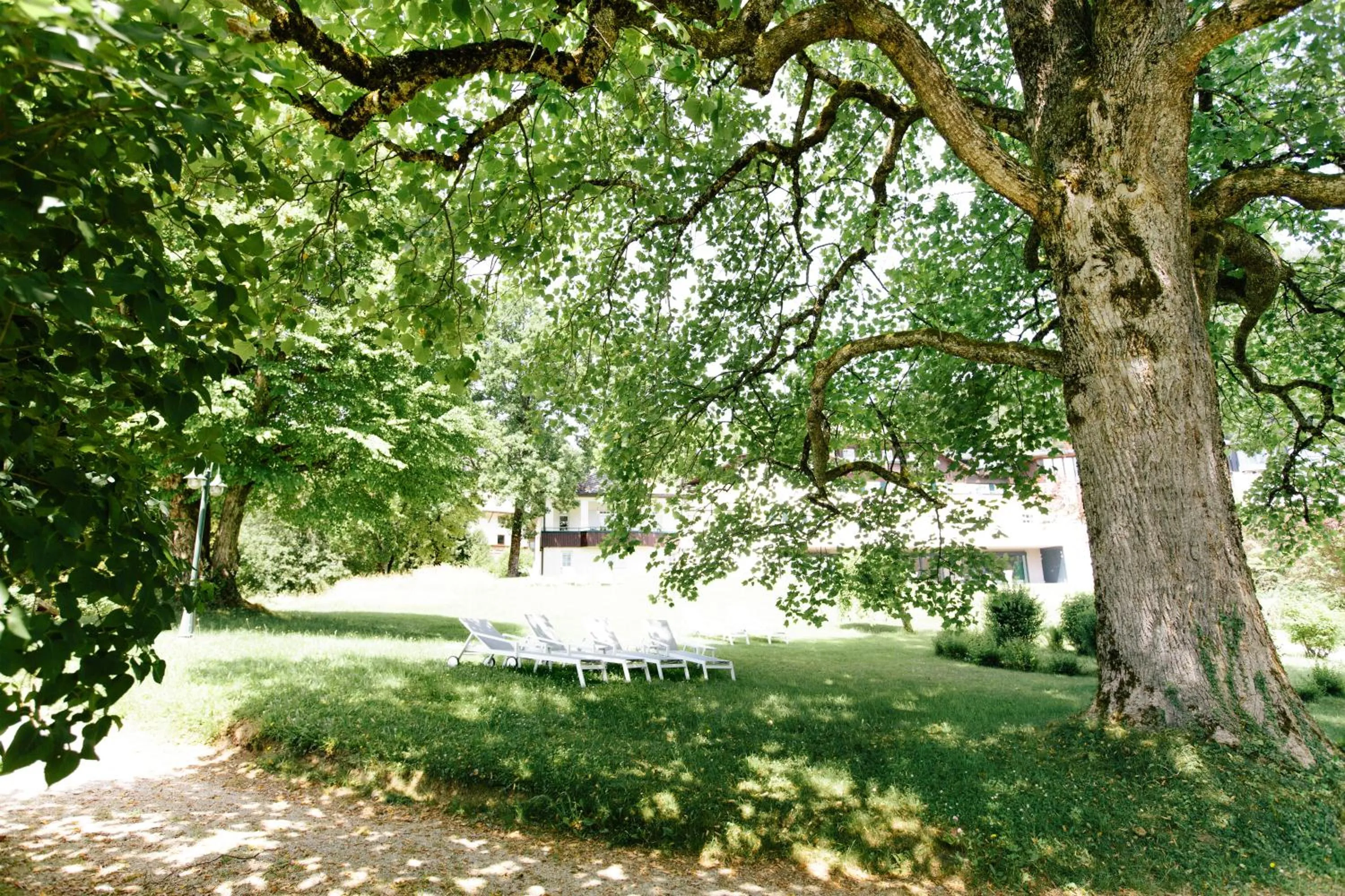 Garden in Seehotel Billroth