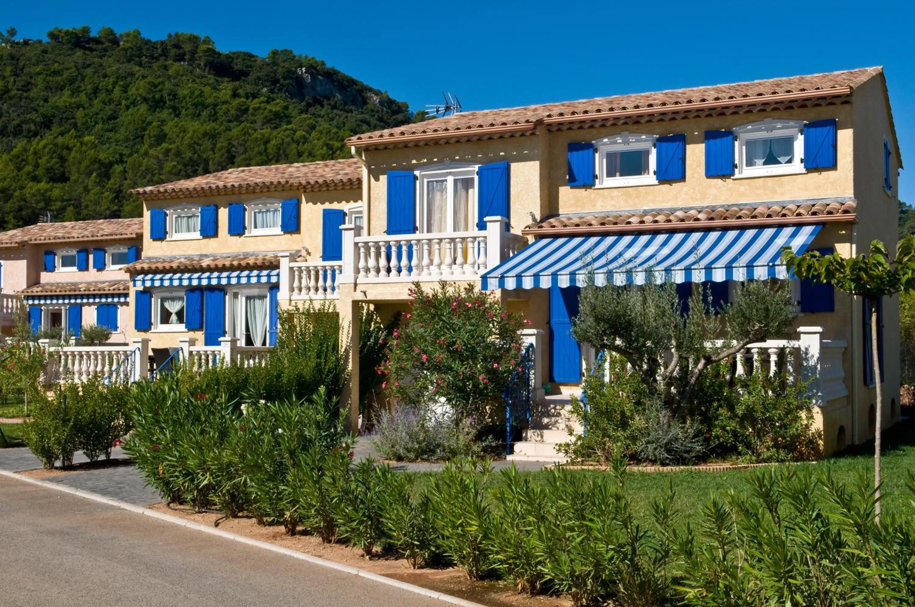 Domaine Le Clos des Oliviers