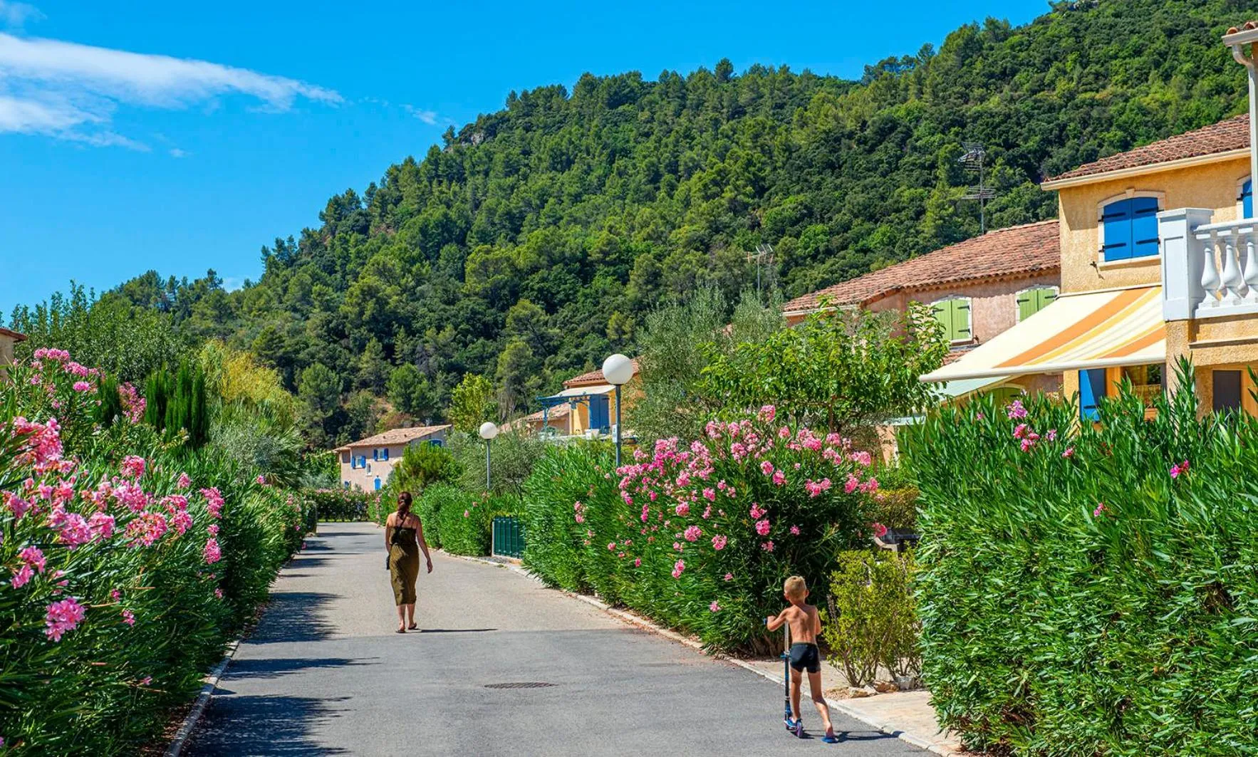 Domaine Le Clos des Oliviers