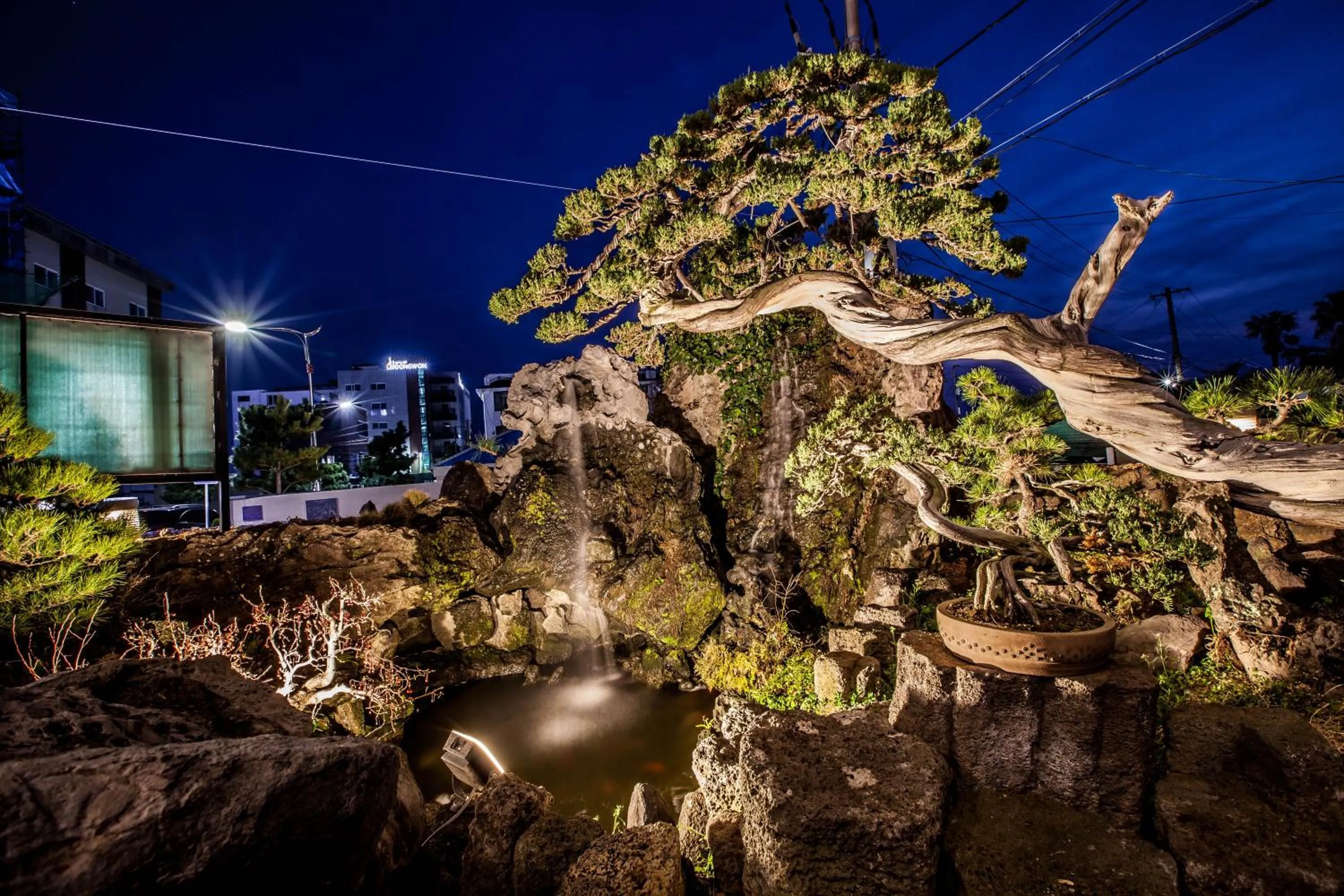 Garden in Cheonjiyeon Hotel