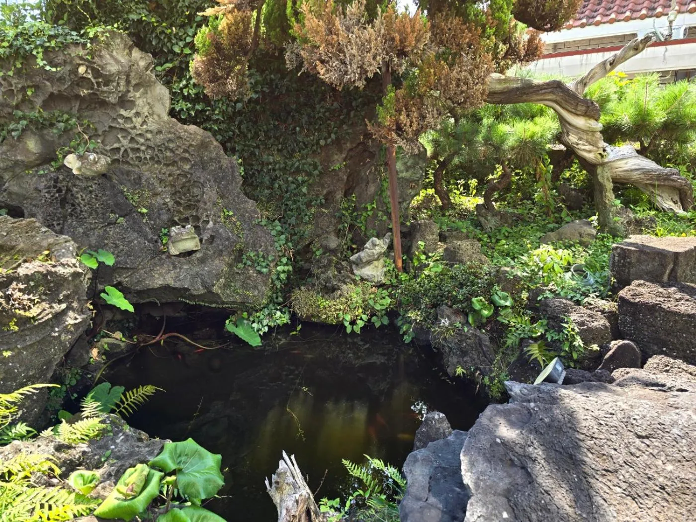 Garden in Cheonjiyeon Hotel