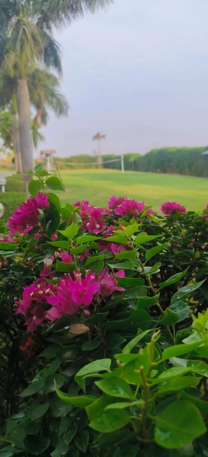 Garden in Corbett Tusker Trail