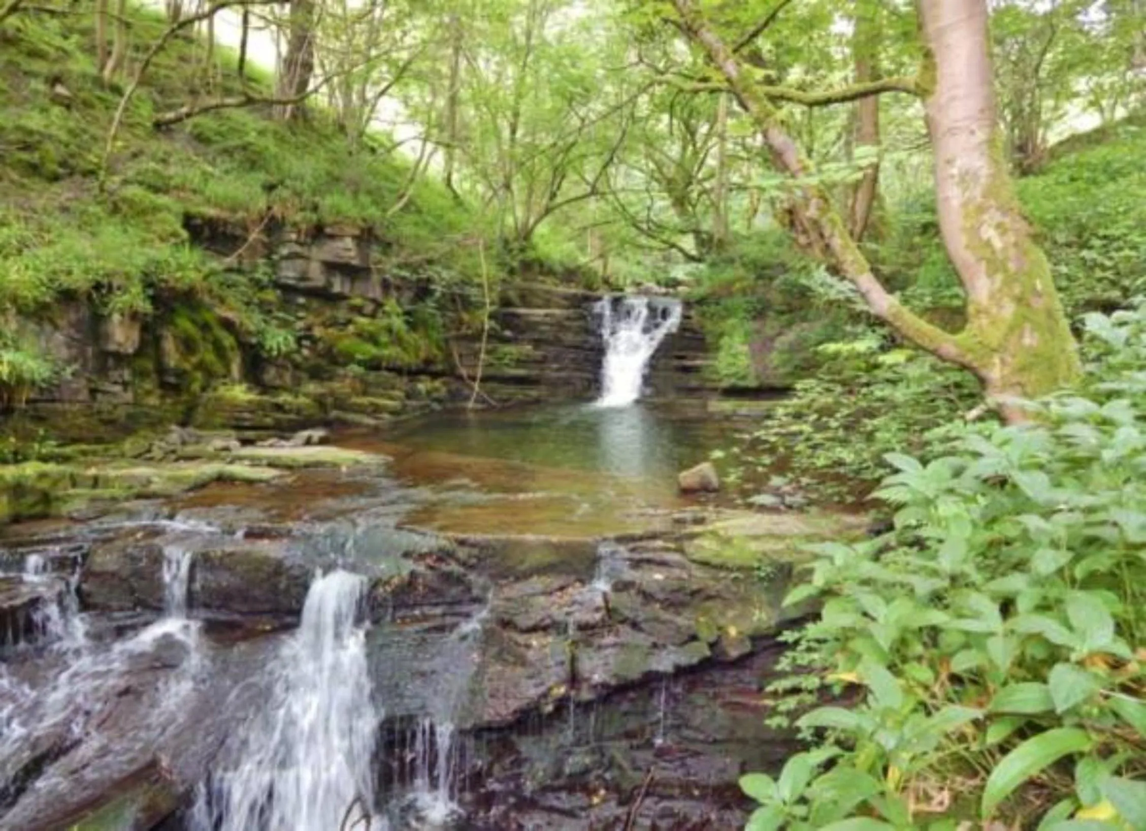 Nearby landmark in Westgate Manor