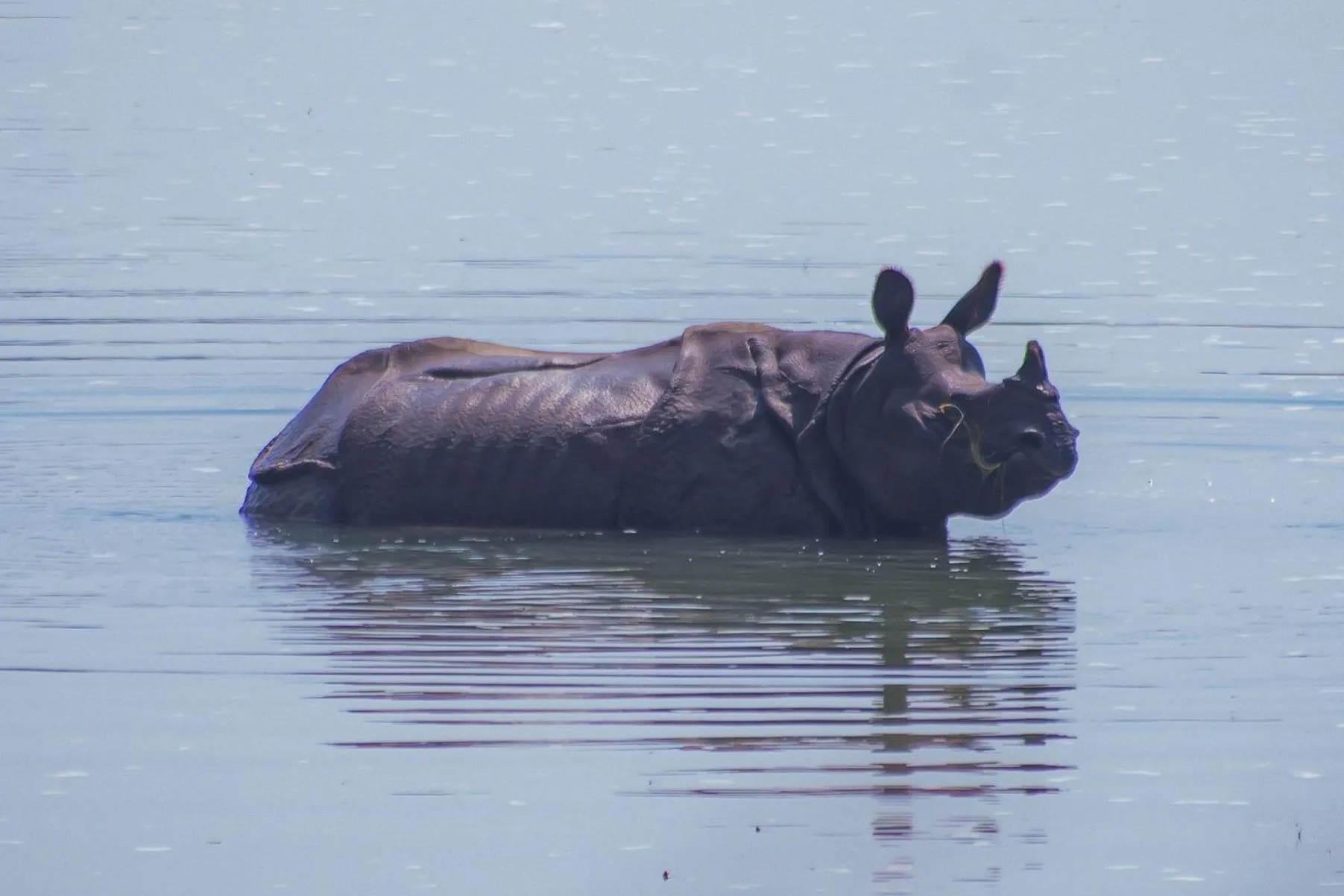 Natural landscape in Bagaicha Adventure Resort