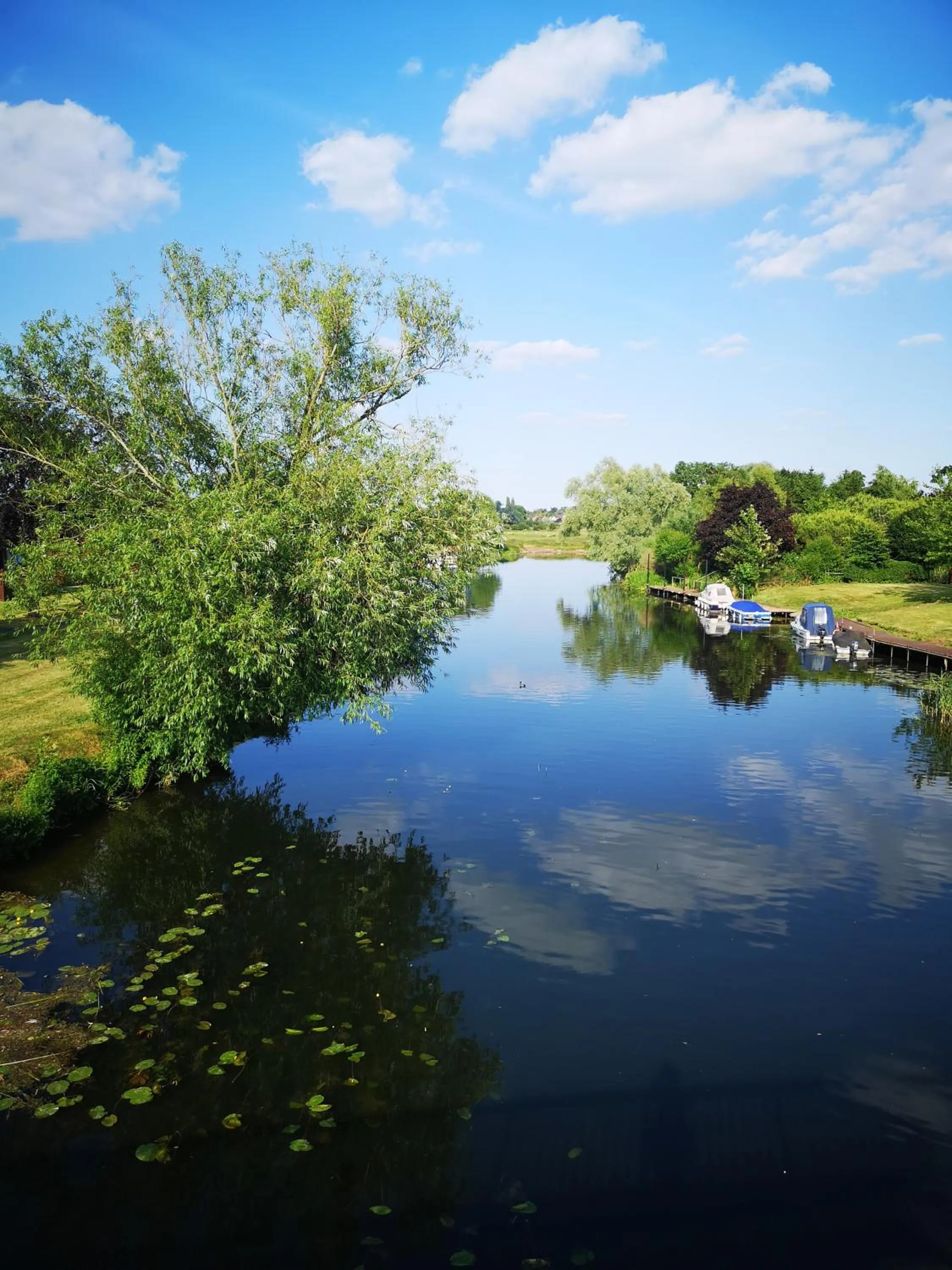 Natural landscape in Bend in the River Lodge