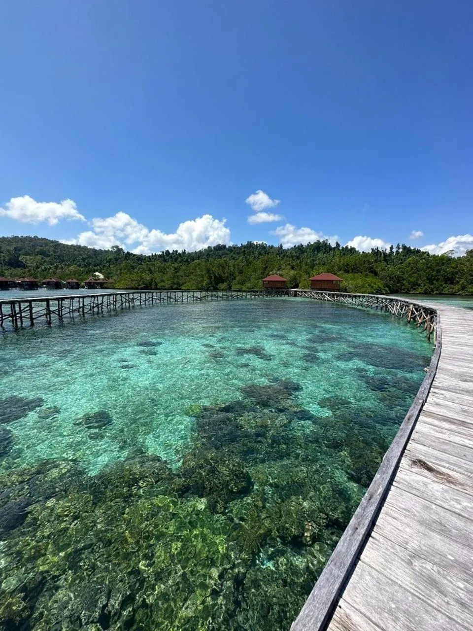 Sea view in Vogelkopf Resort