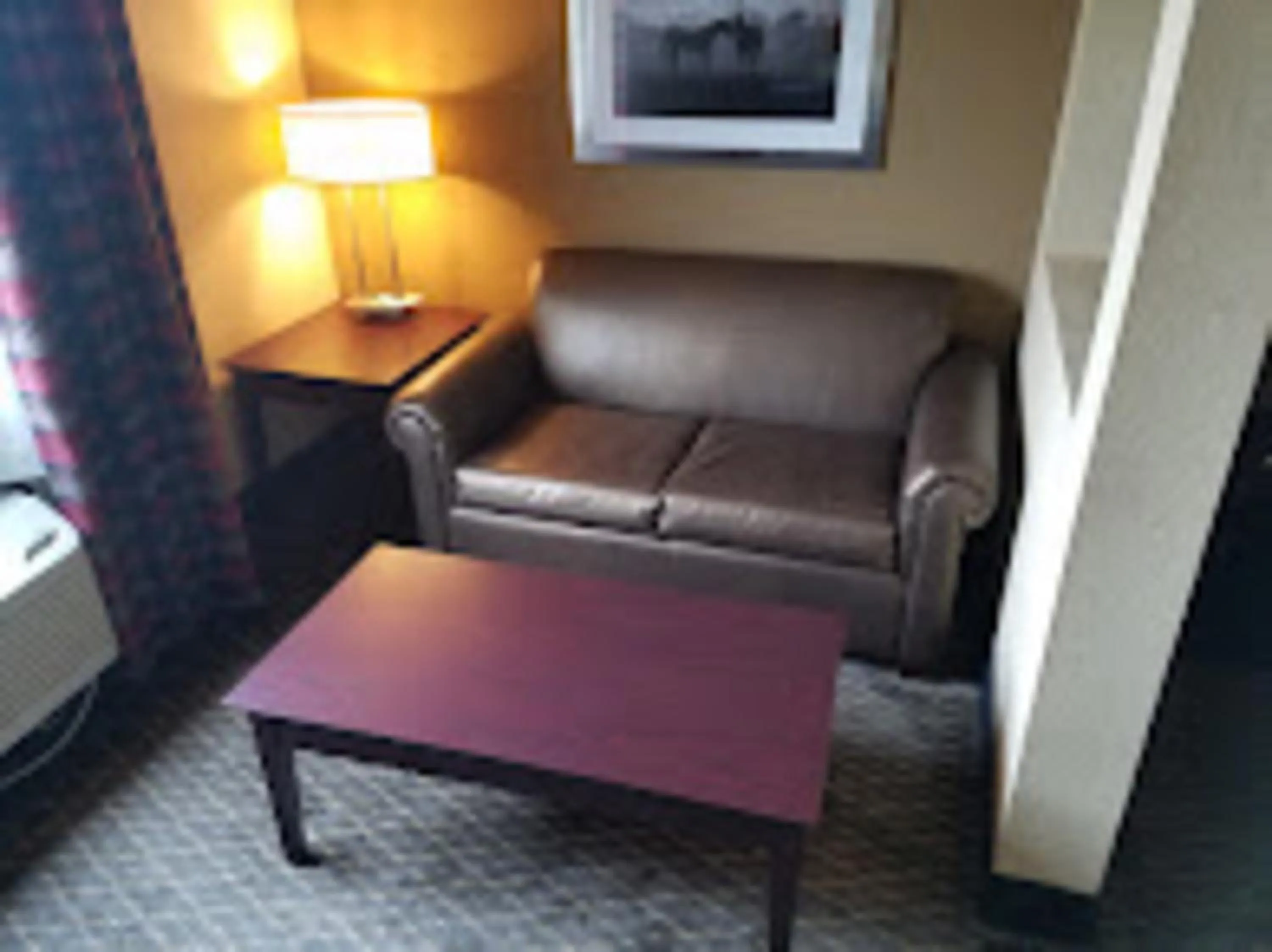 Living room in Baymont by Wyndham Ardmore I-35