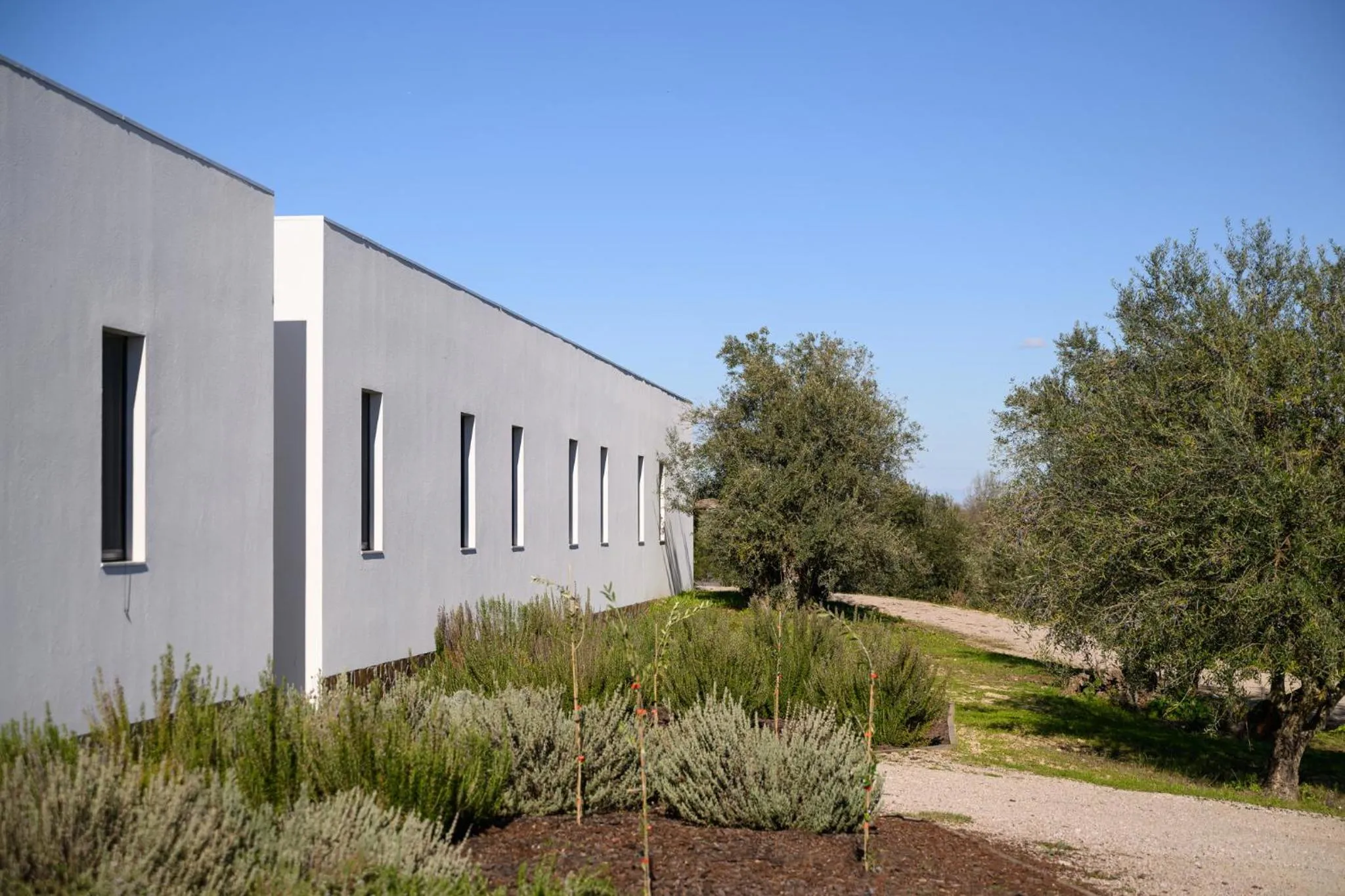 Off site in Quinta da Amendoeira - Évora - The Farmhouse