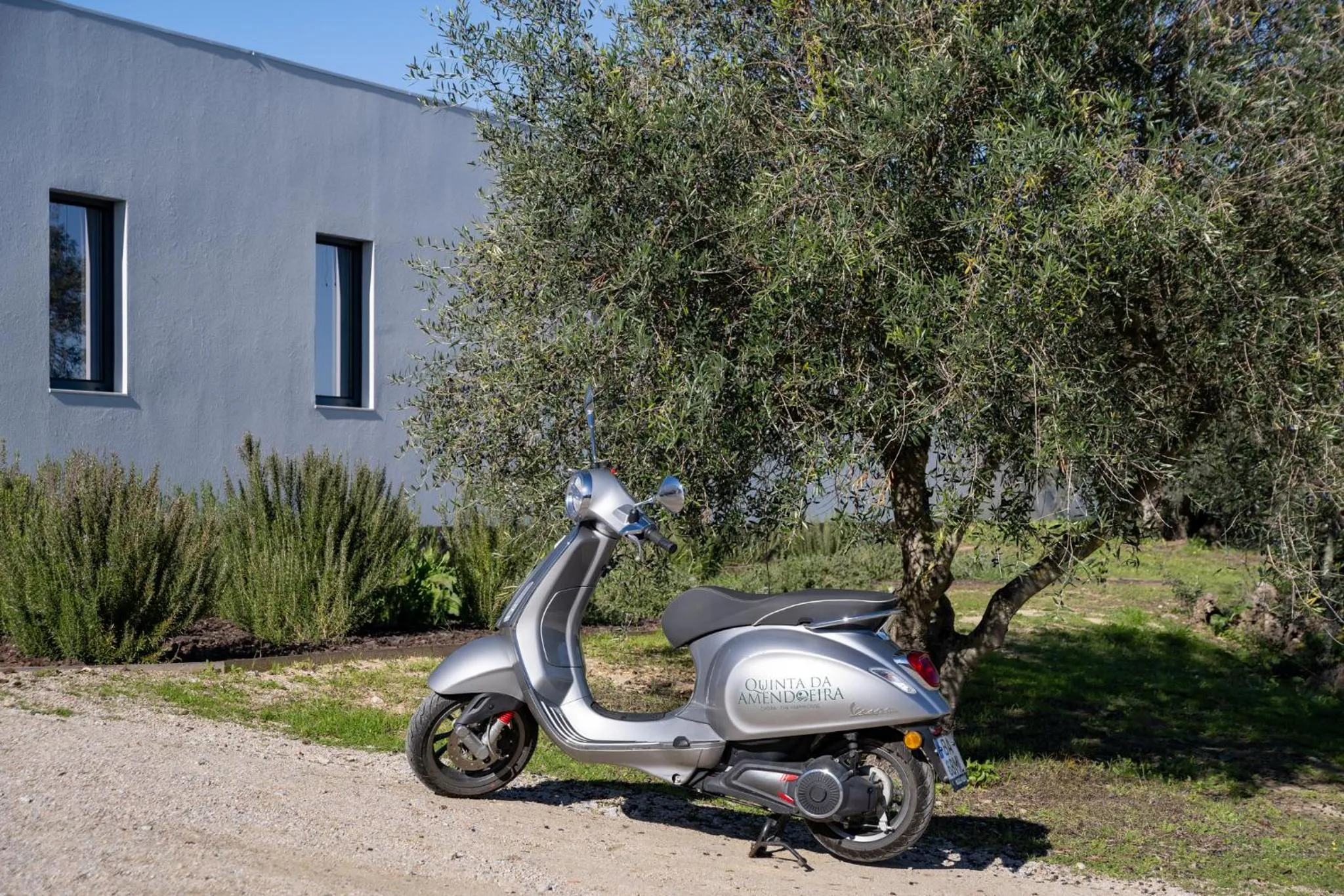 Other in Quinta da Amendoeira - Évora - The Farmhouse