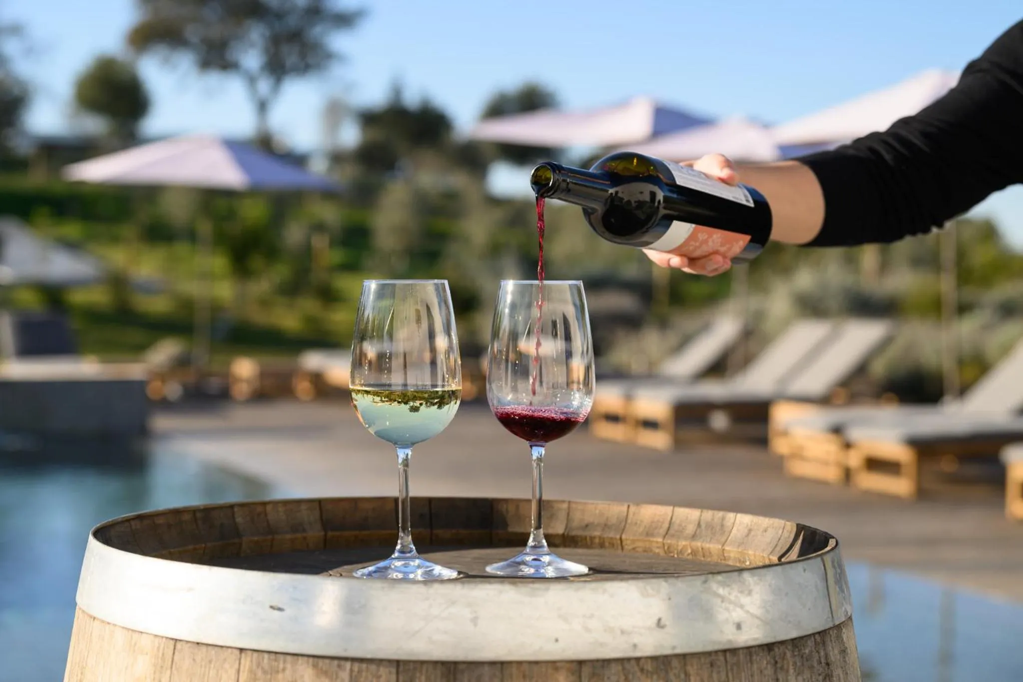 Lounge or bar in Quinta da Amendoeira - Évora - The Farmhouse